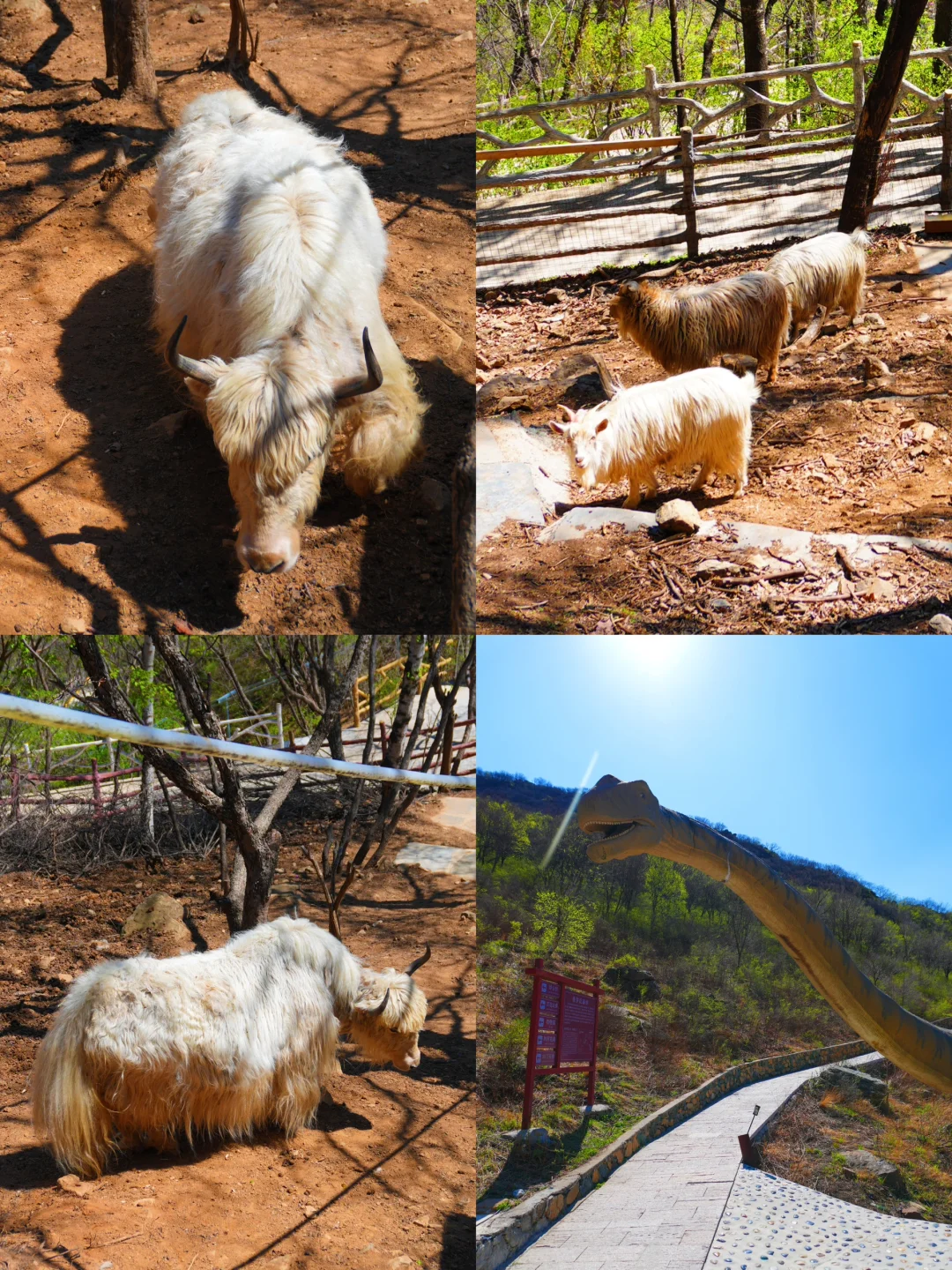 反向旅游是真的香❗️承包整片风景，野心友好