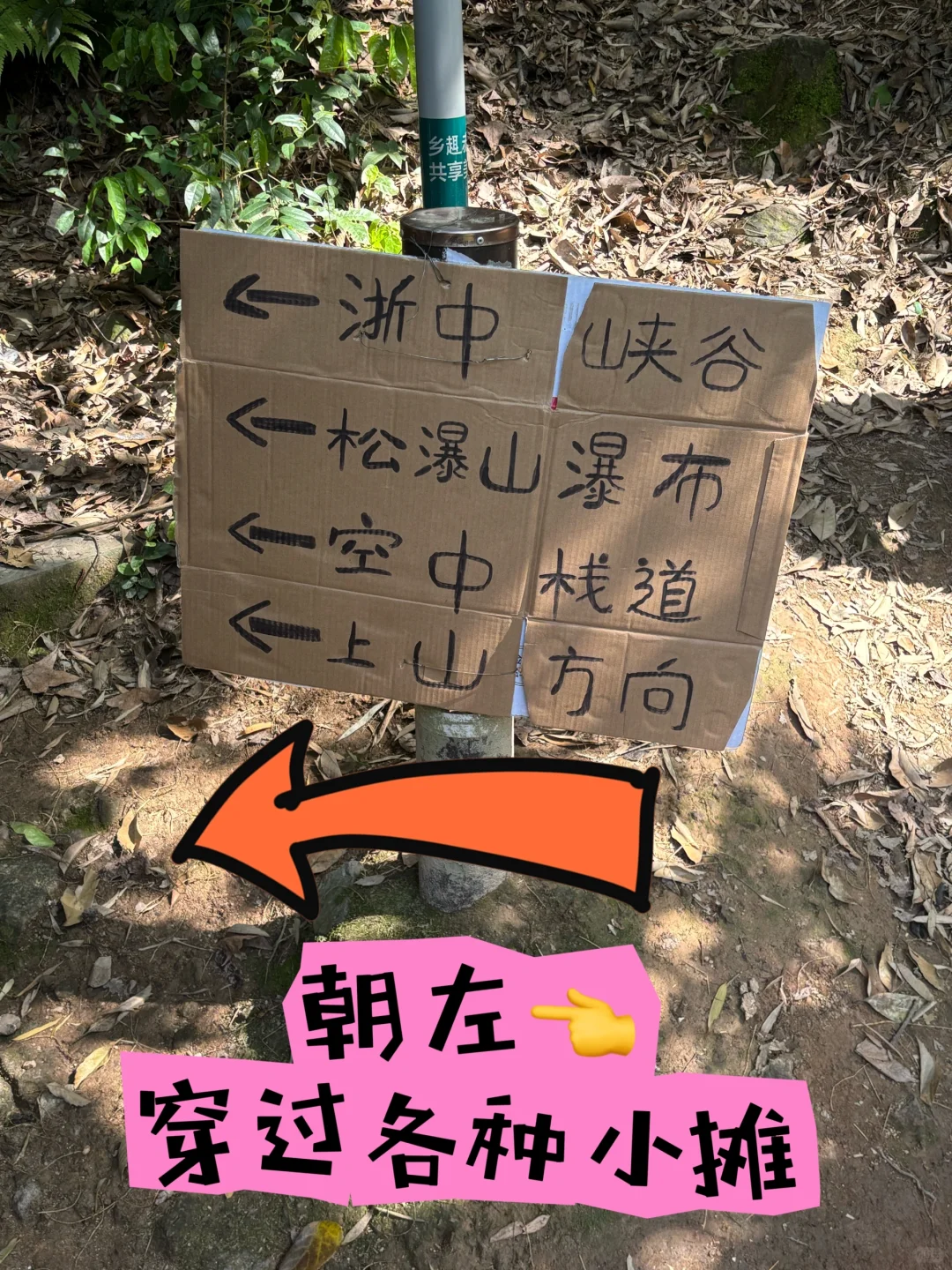 每周一山‼️大金华市内藏有峡谷瀑布悬空栈道