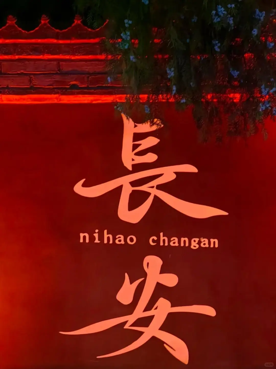 🏮【西安大唐不夜城】穿越盛唐的梦幻夜游🌙