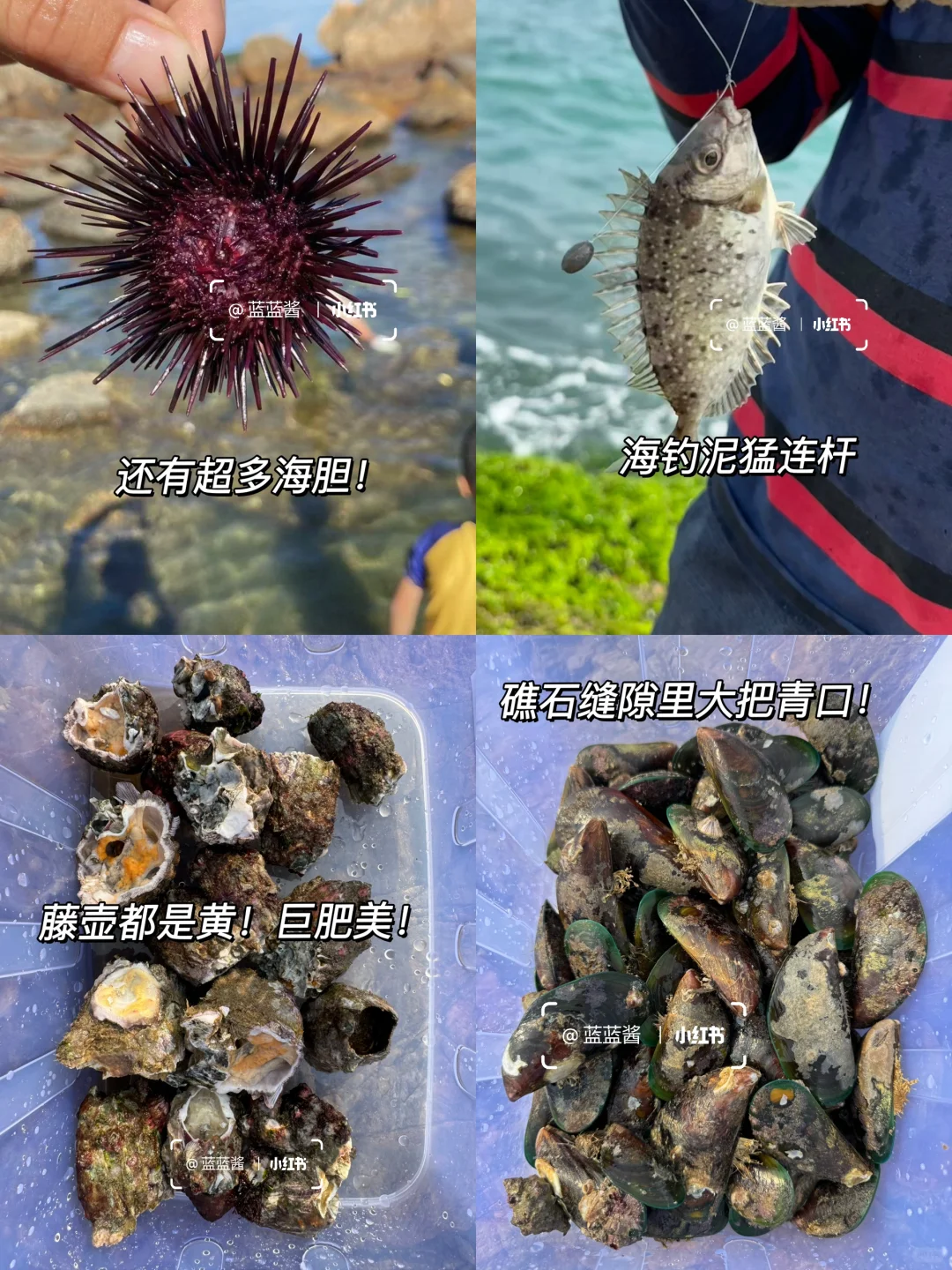 开车直达‼️广东超小众悬崖大海‼赶海爆桶‼