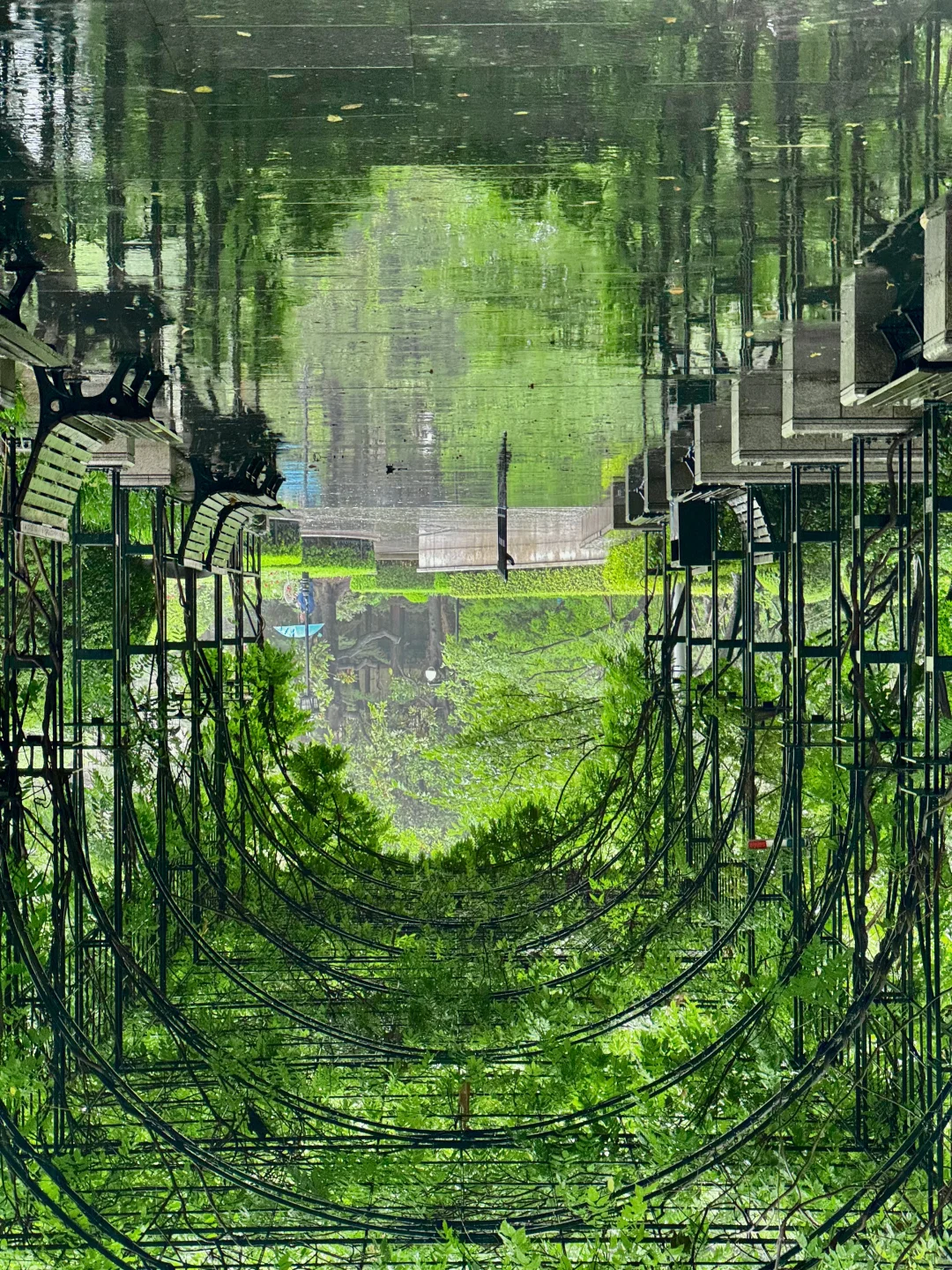 原来大雨真的会让整座城市颠倒