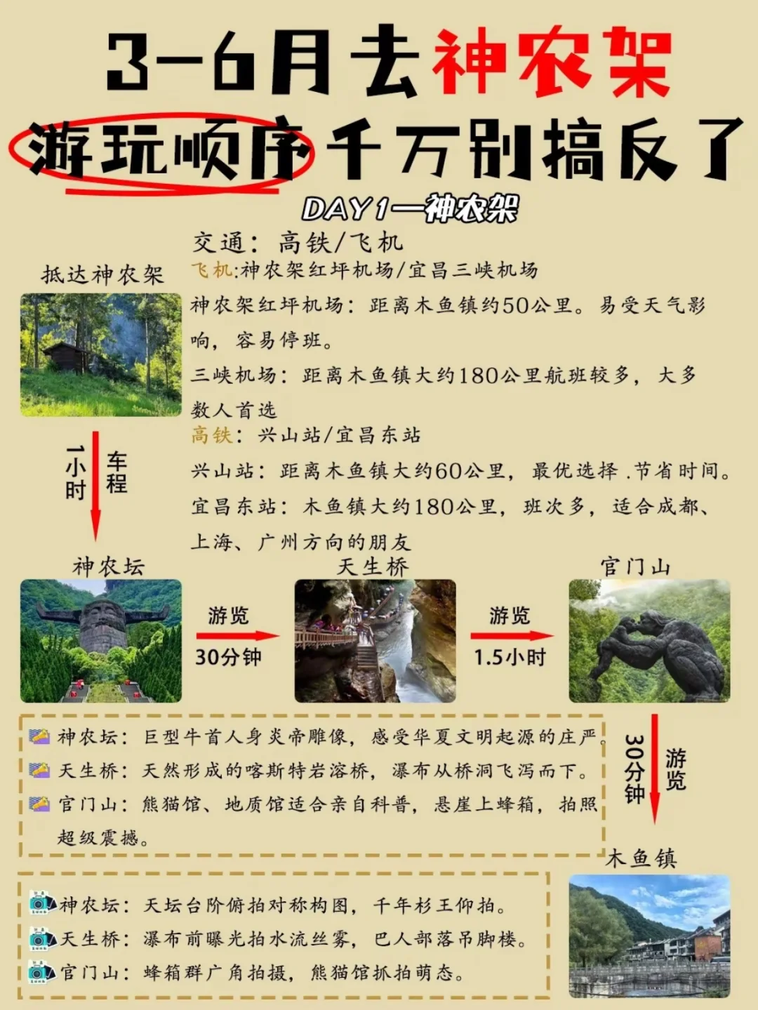 原始森林地质与奇观
