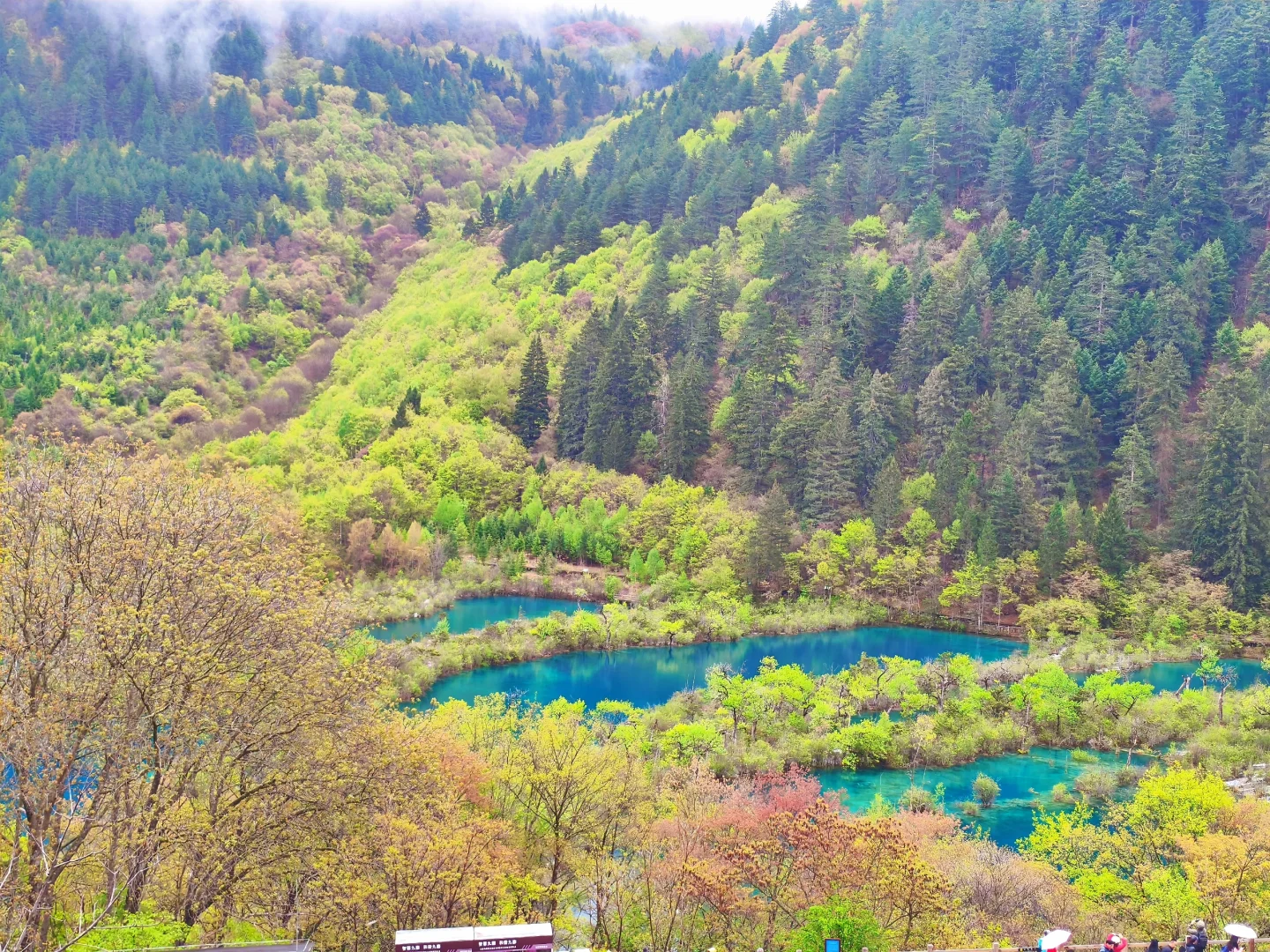 聚划算！住九寨沟景区内民宿，直省560💰