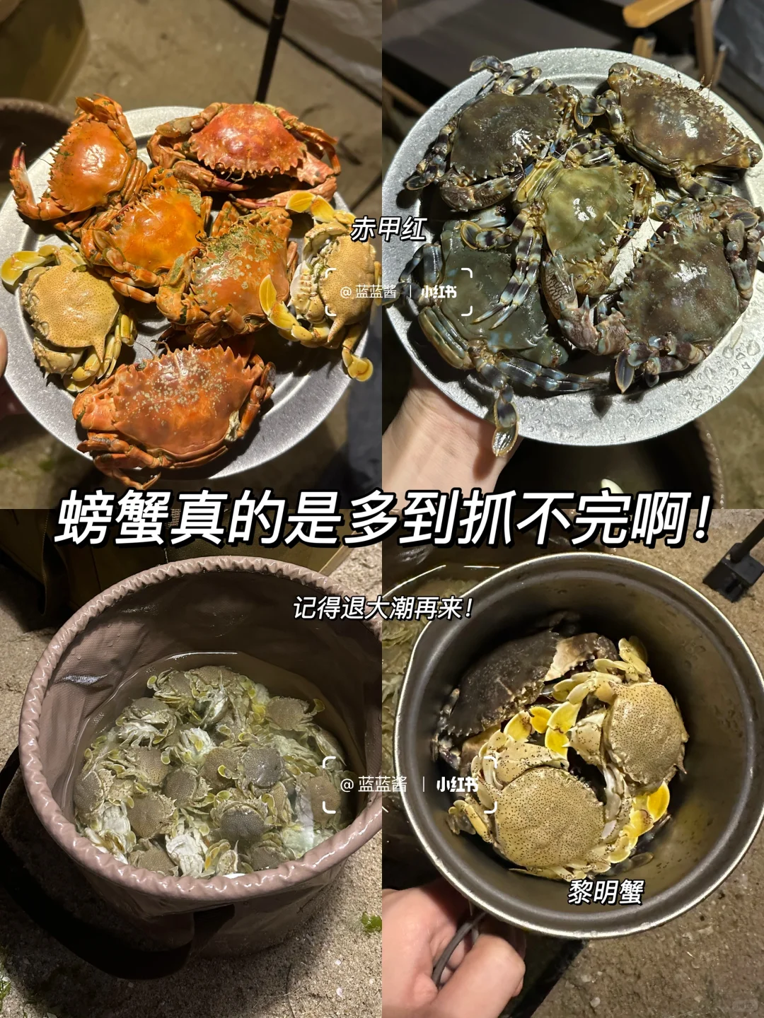 开车直达‼️广东超小众悬崖大海‼赶海爆桶‼
