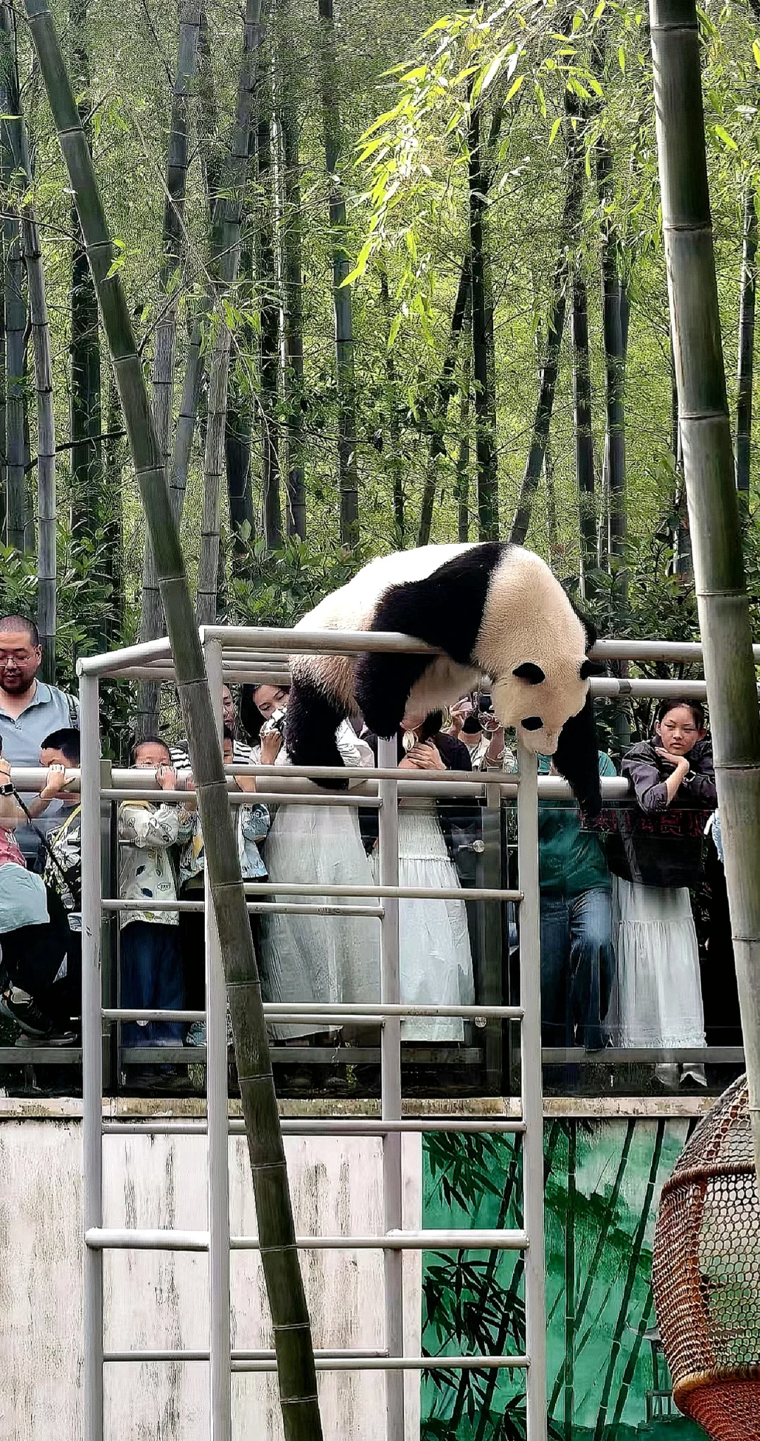 江苏旅游攻略之常州溧阳“天目湖南山竹海”