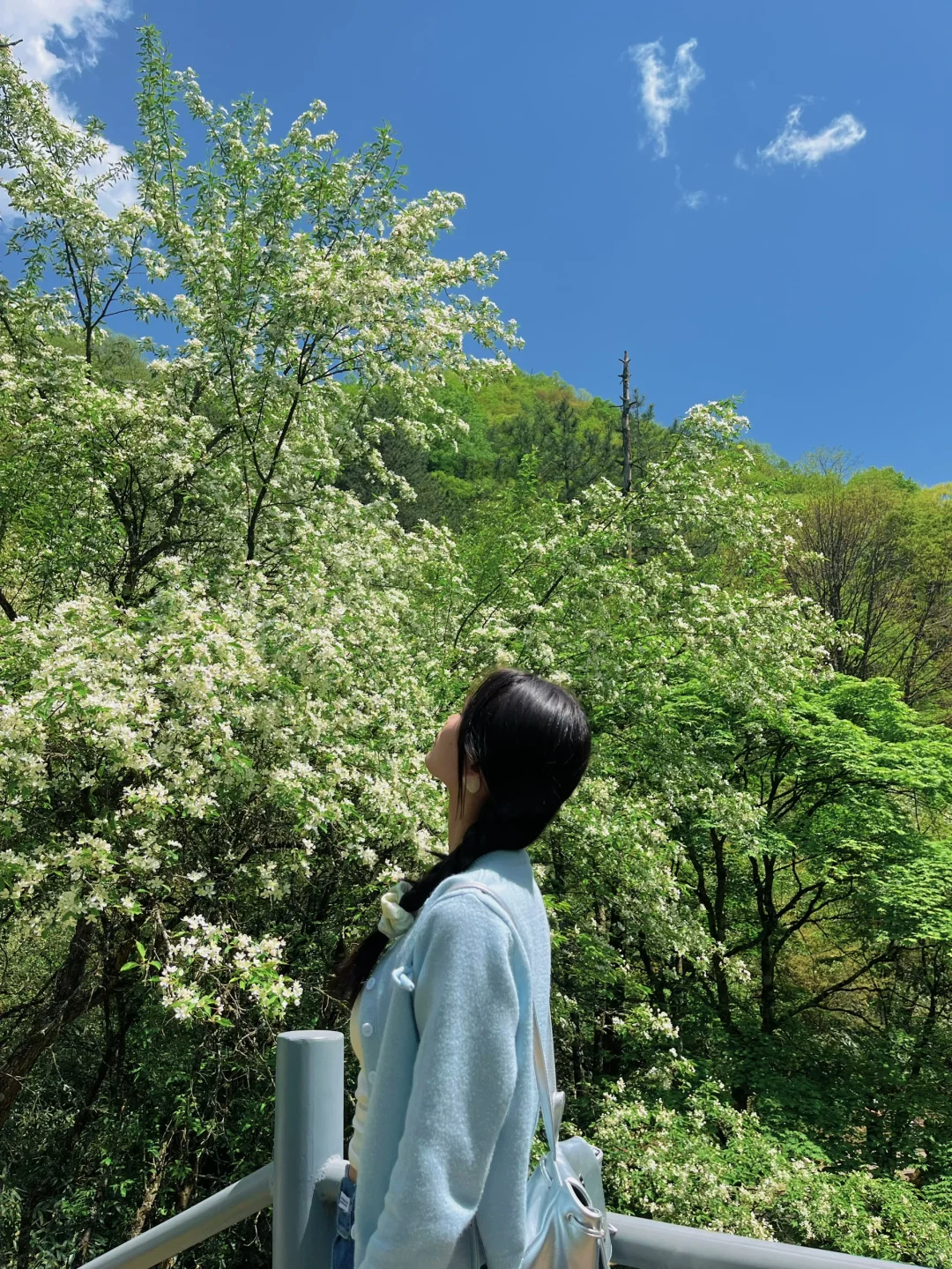 光雾山｜藏在深山的5A级景区⛰️