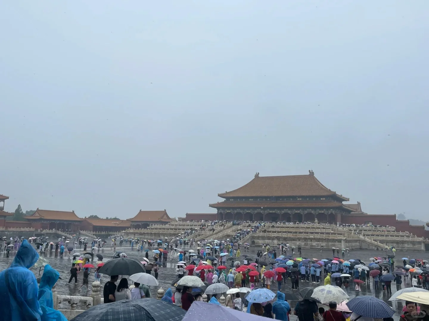5.9🎈故宫下雨实况，要淋崩溃了😱