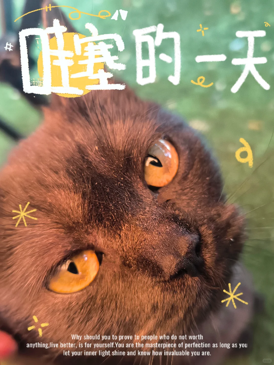 假期余额不足😭