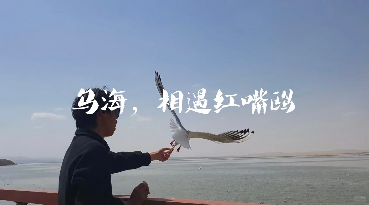 人生不过3w天，不为任何，只为自由