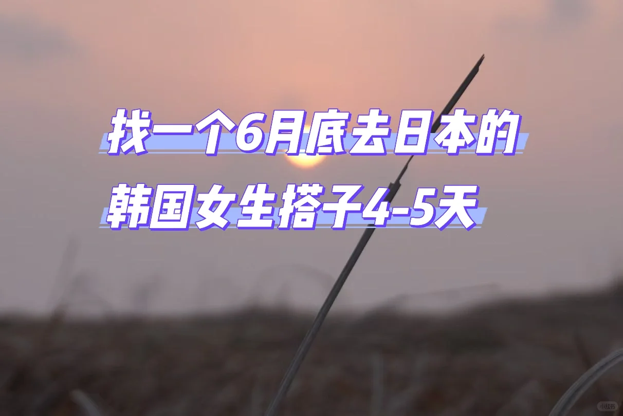 找6月底🇯🇵日本旅游搭子