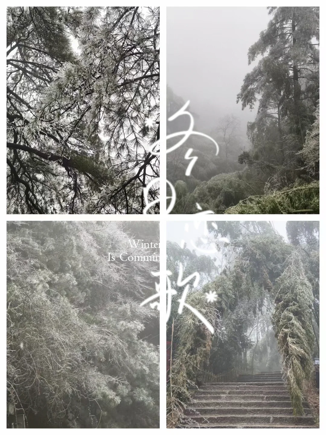 人生不过3w天，不为任何，只为自由
