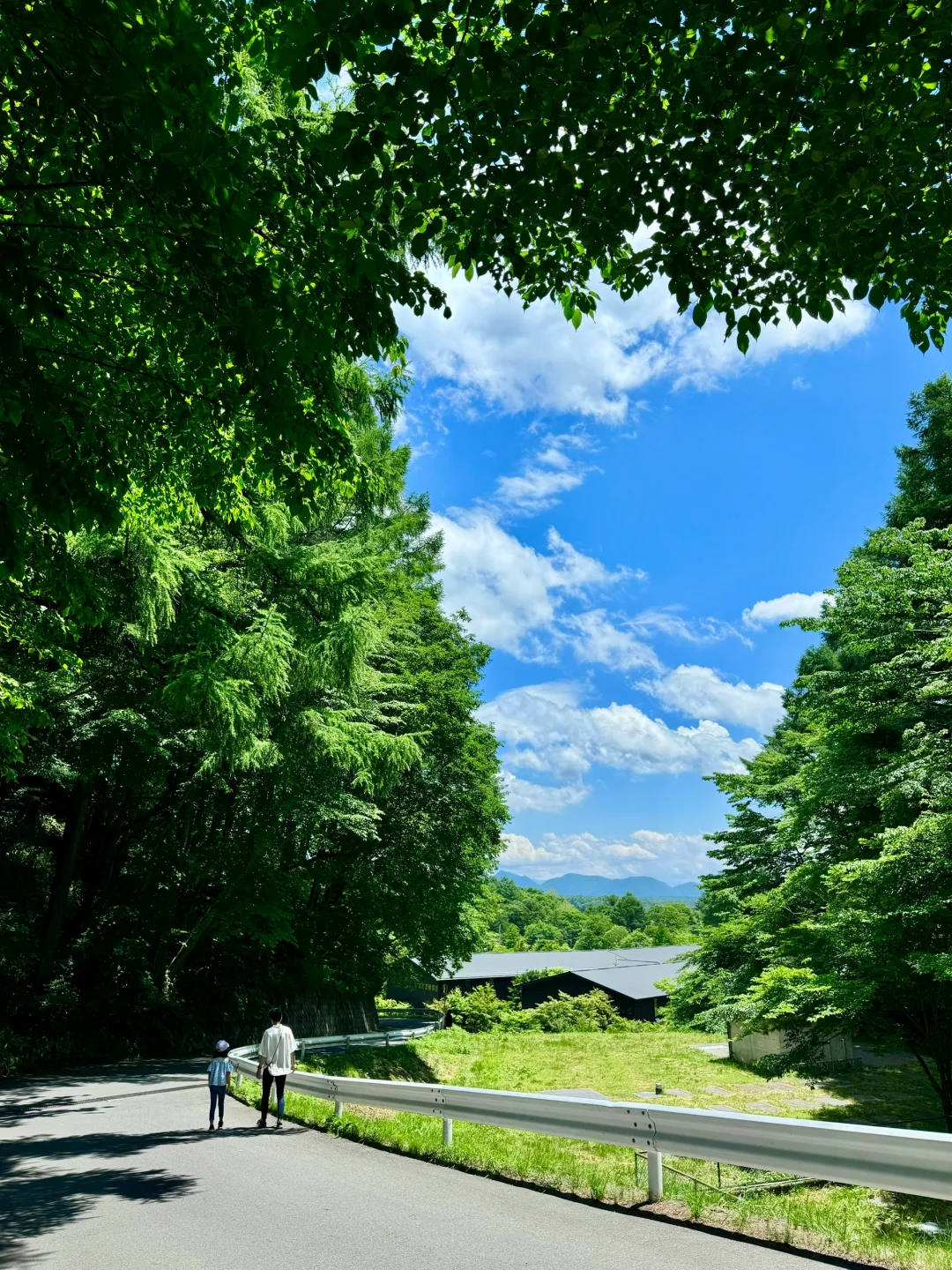 上海直飞7日🇯🇵去北陆感受宫崎骏的夏天吧！