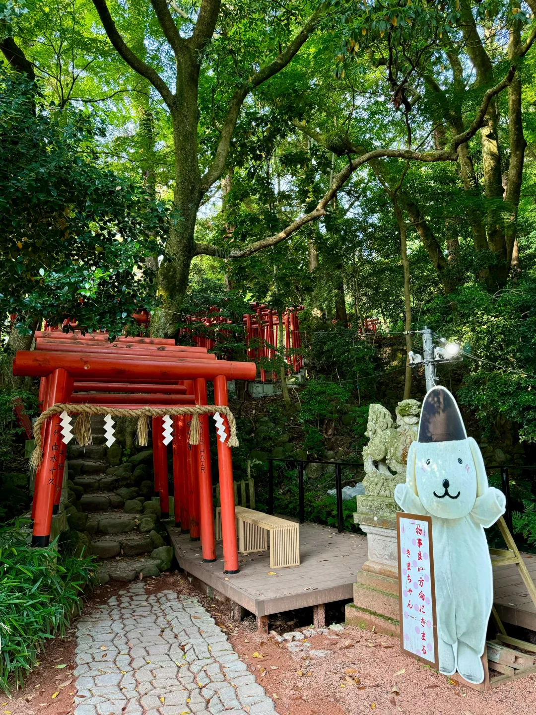 上海直飞7日🇯🇵去北陆感受宫崎骏的夏天吧！