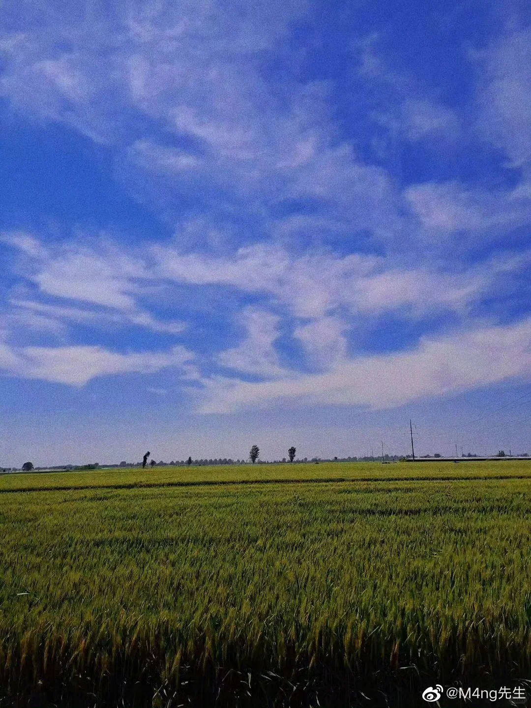 漫无目的的瞎逛，才是最好的旅游。