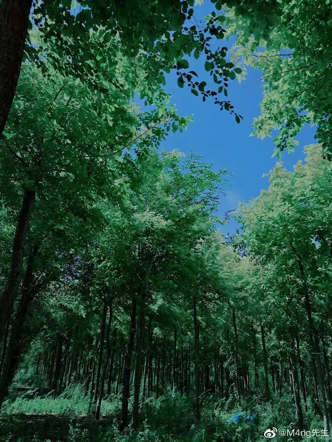 漫无目的的瞎逛，才是最好的旅游。