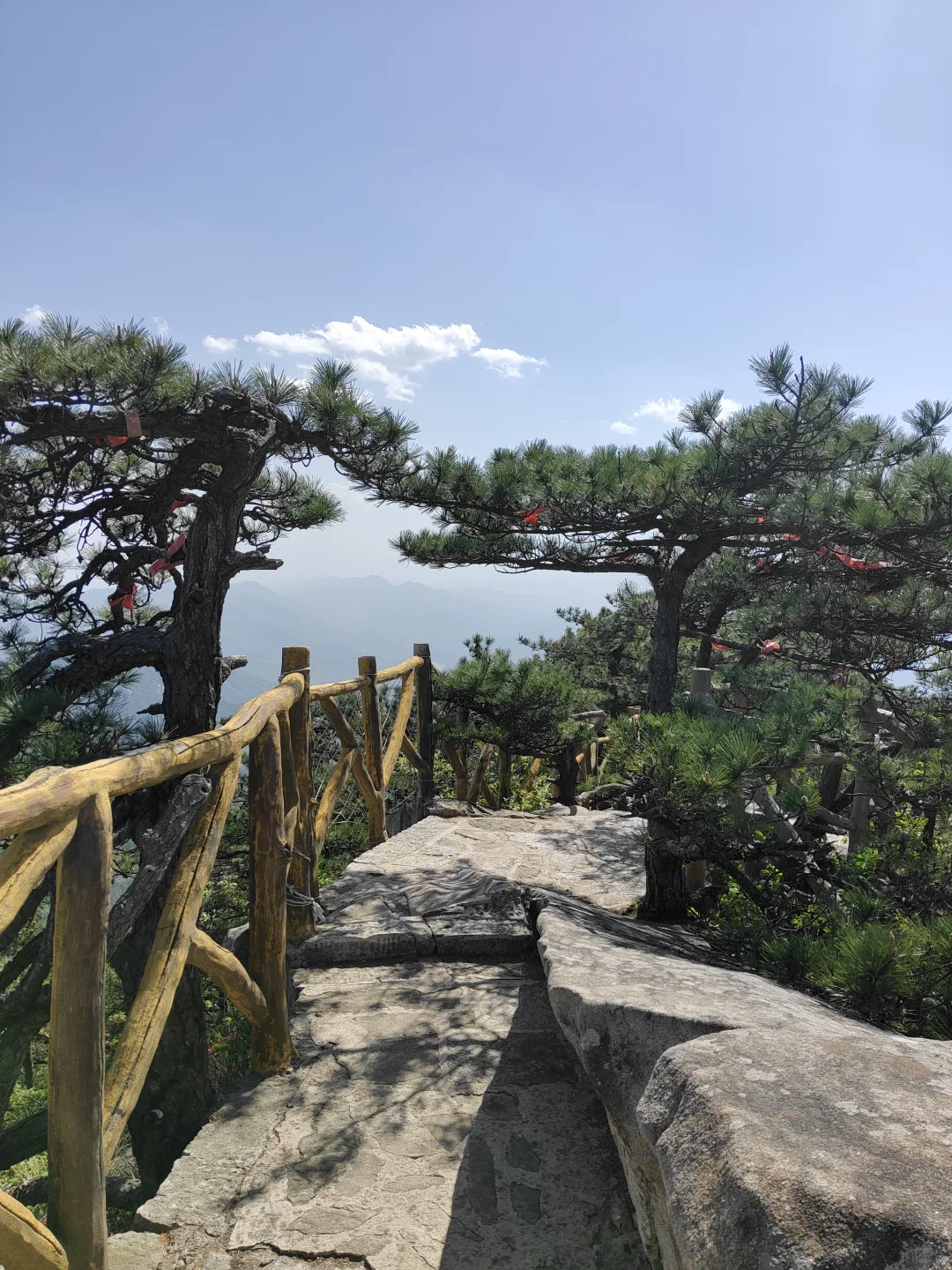 五一反向旅游成功!