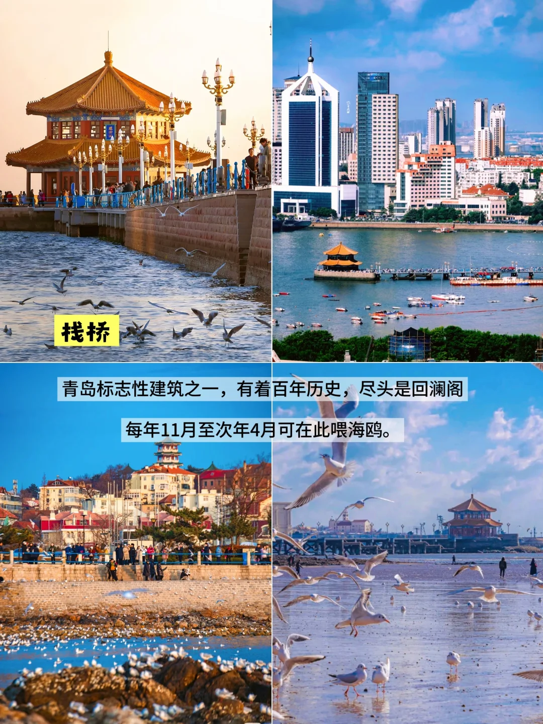 第一次来青岛，一定要看这份青岛旅游攻略！