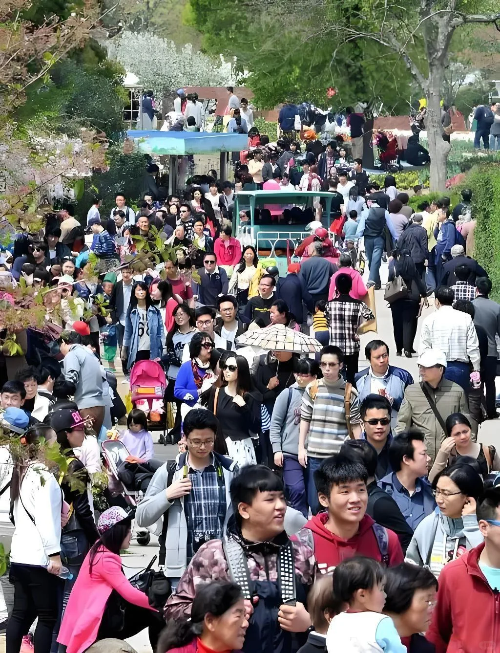 国人为啥都爱上了假日出游？