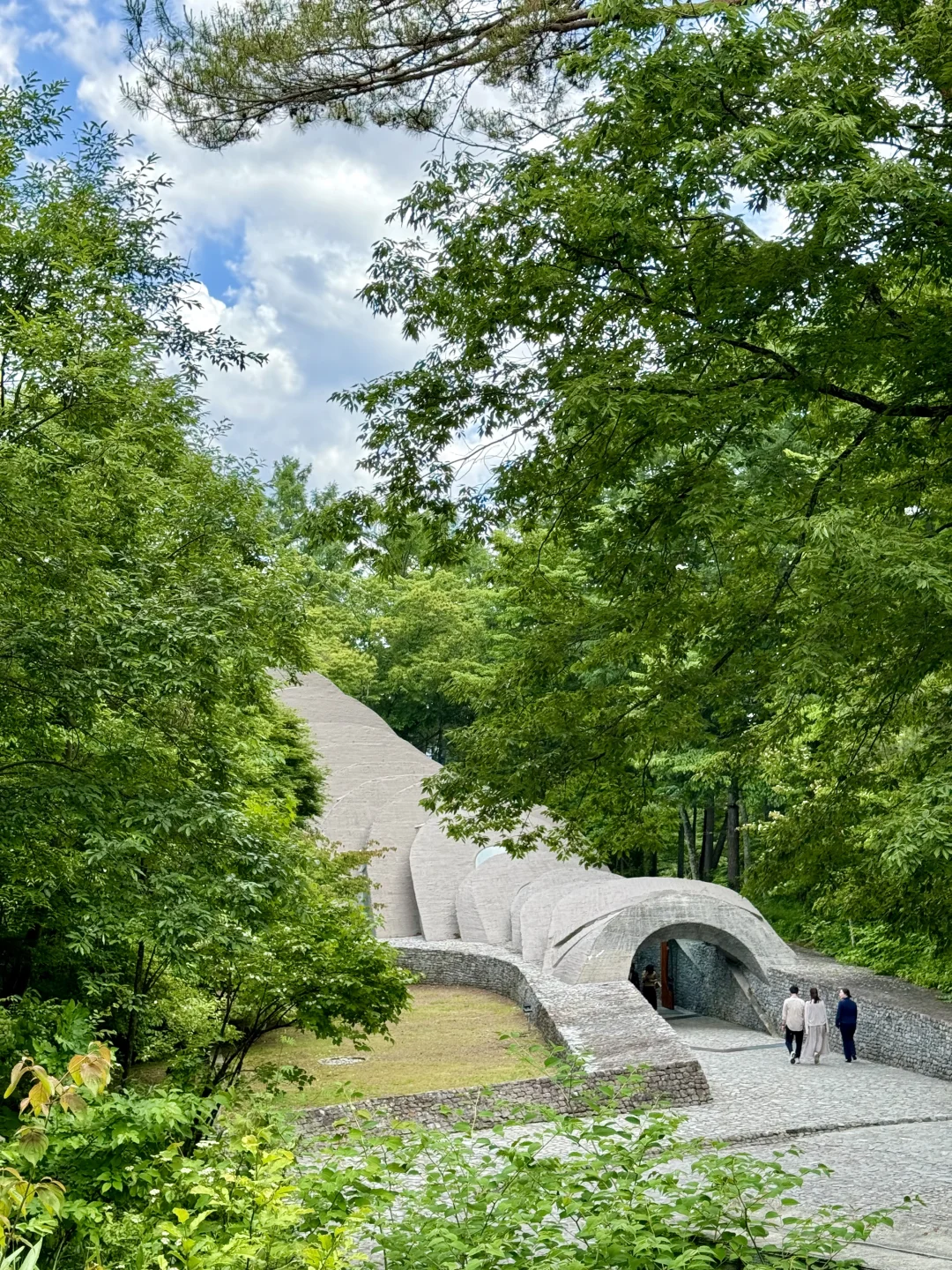 上海直飞7日🇯🇵去北陆感受宫崎骏的夏天吧！