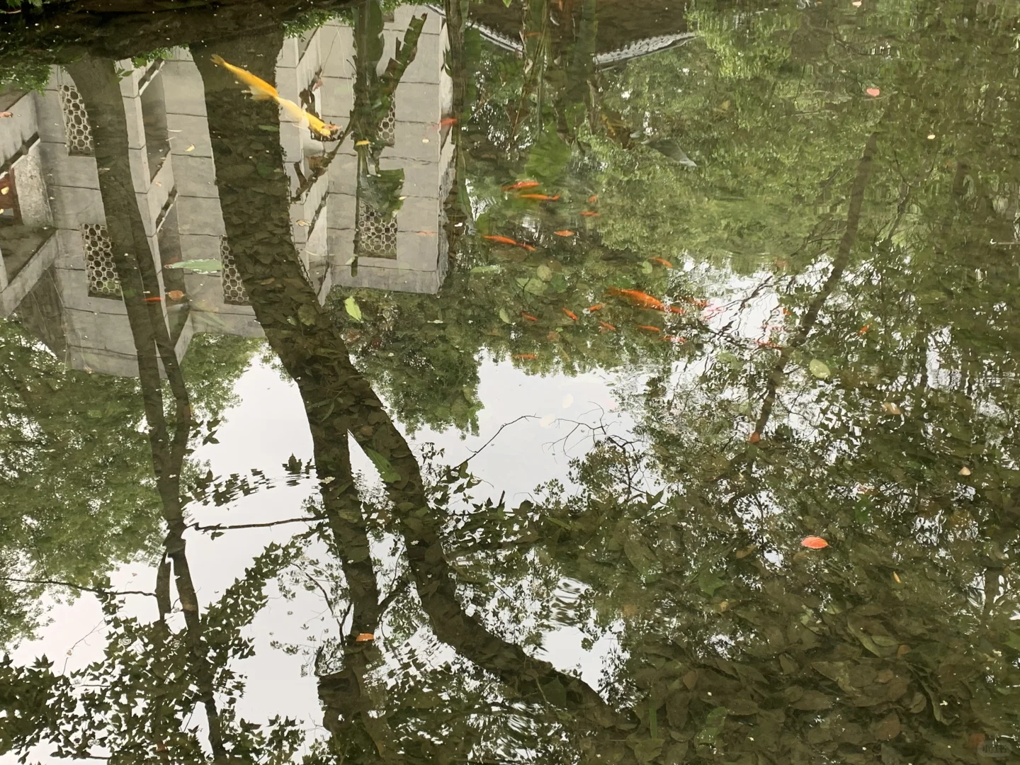 看五一旅游避雷贴，从想笑到有一点难过。