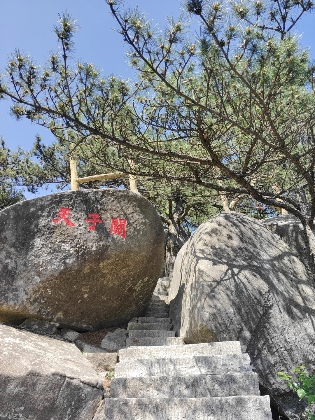 五一反向旅游成功!