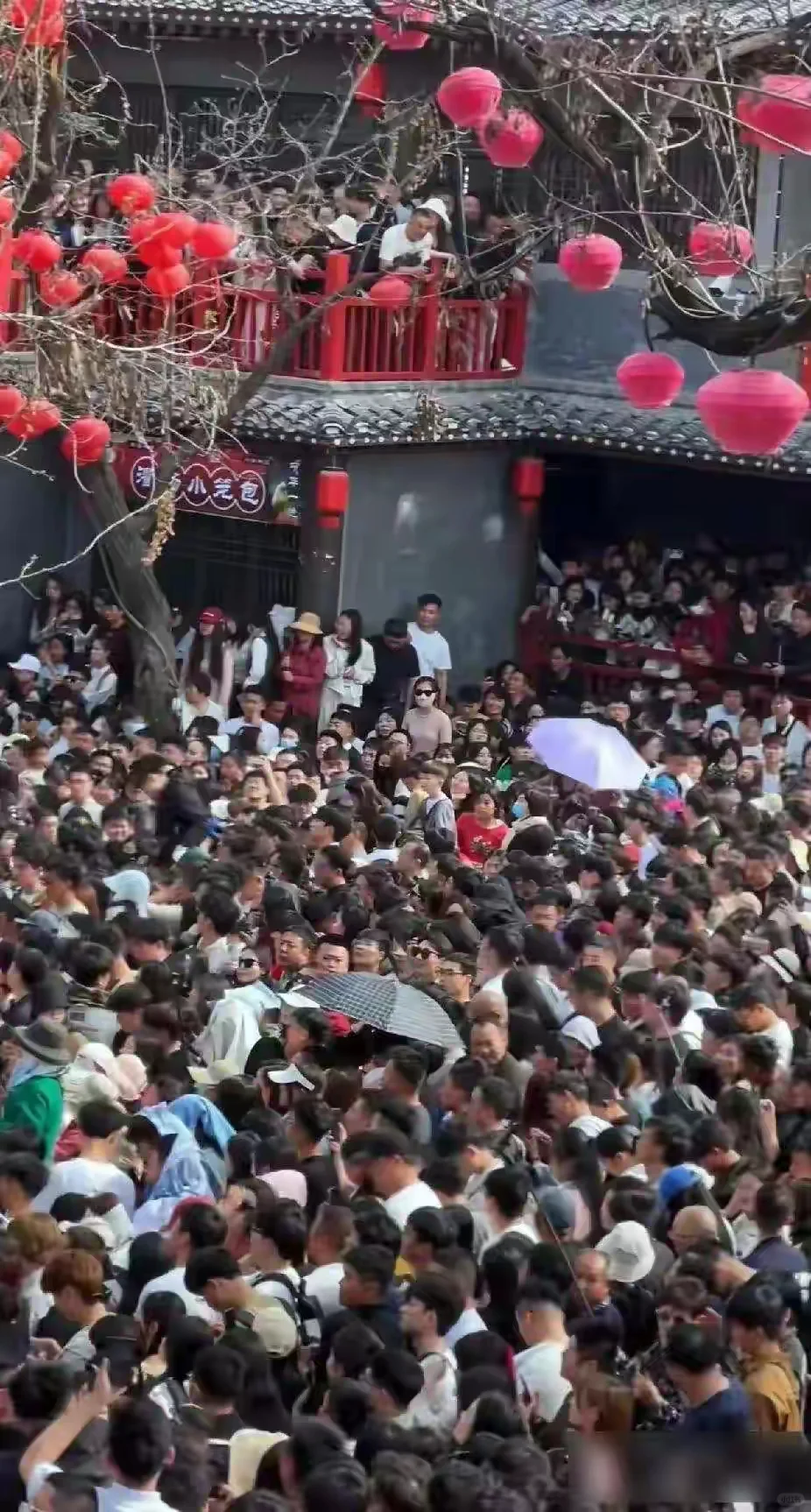 国人为啥都爱上了假日出游？