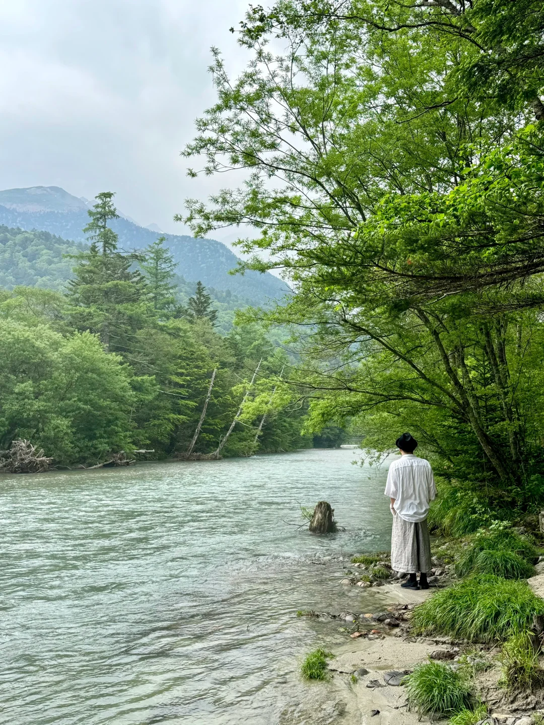 上海直飞7日🇯🇵去北陆感受宫崎骏的夏天吧！