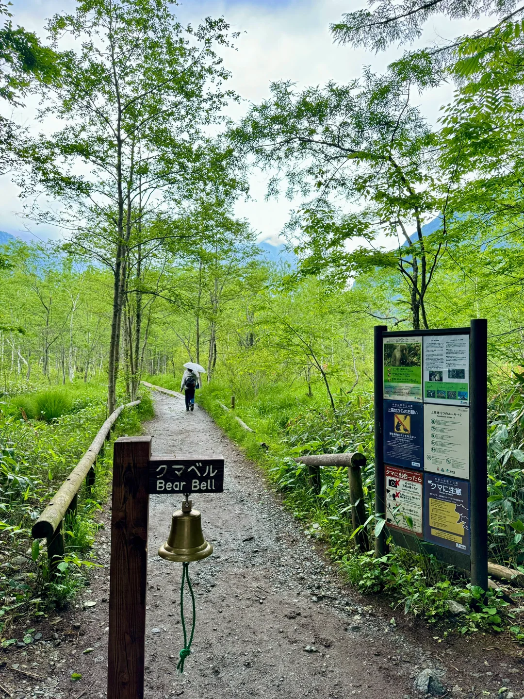 上海直飞7日🇯🇵去北陆感受宫崎骏的夏天吧！
