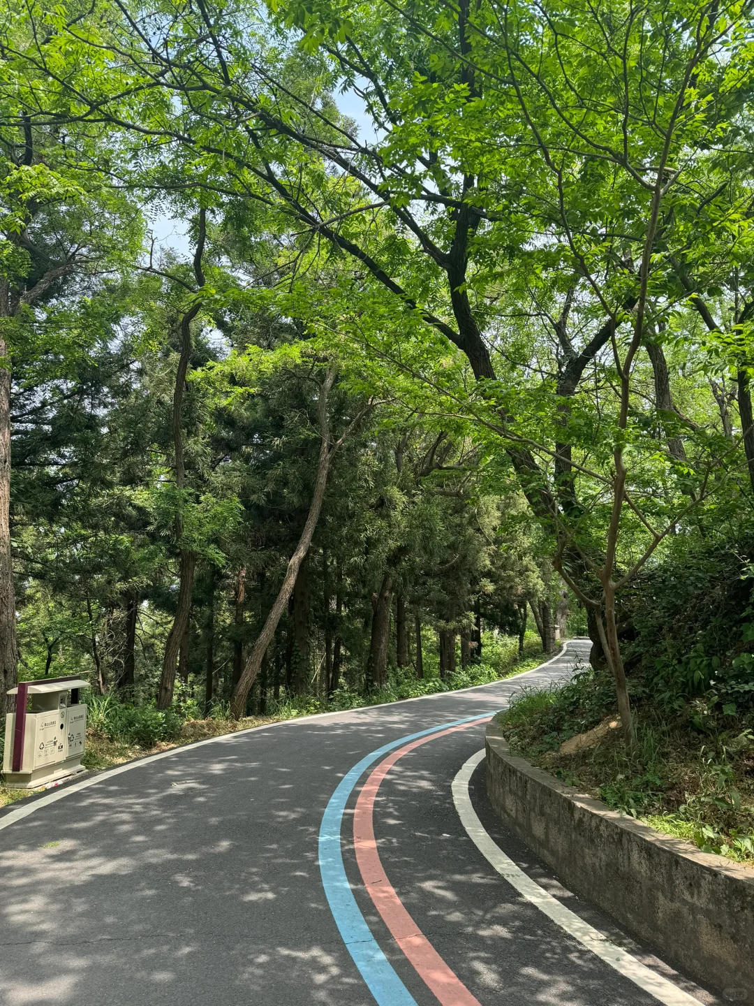 进山吸下氧😎😎