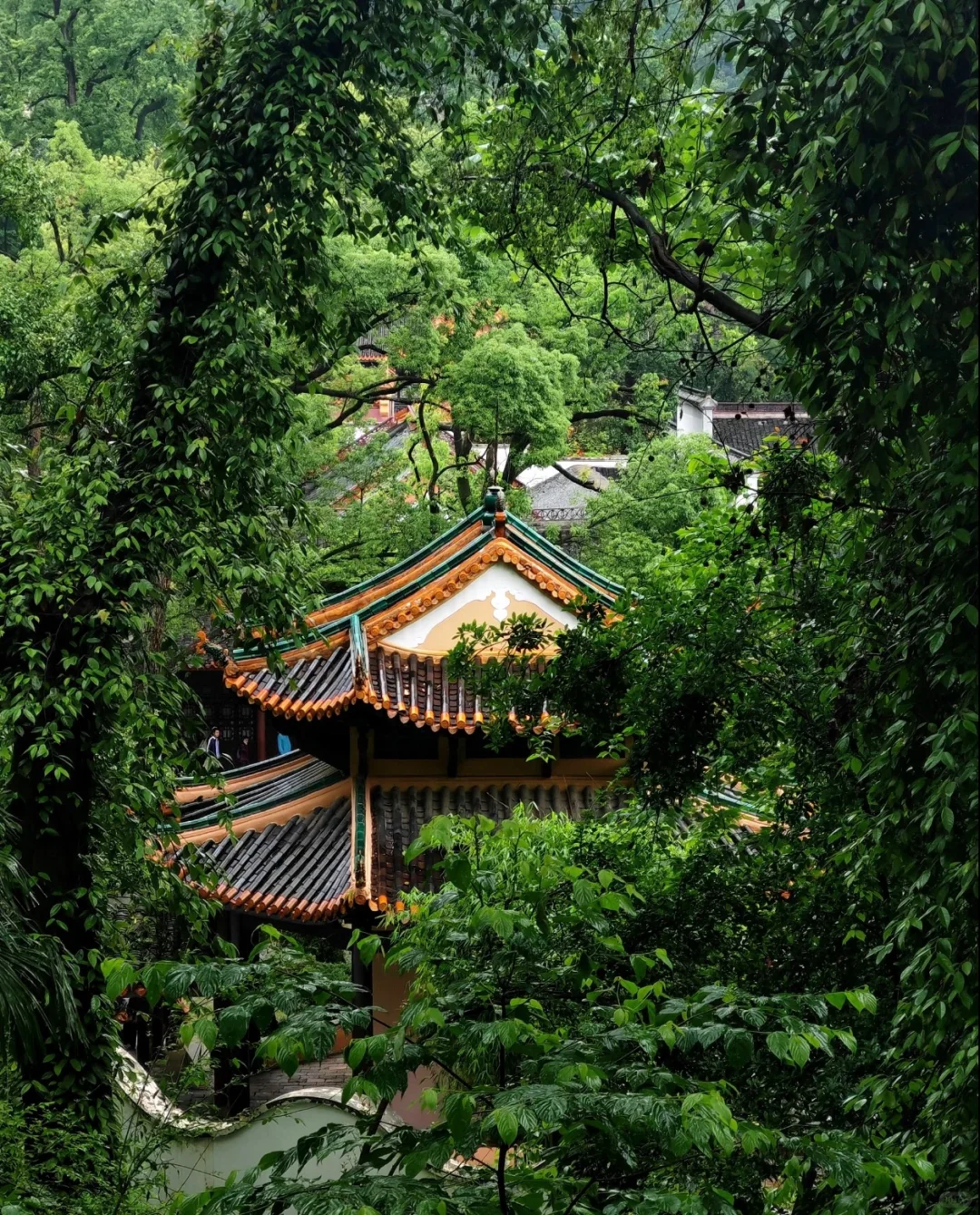 🌟【长沙旅游全攻略】🌟