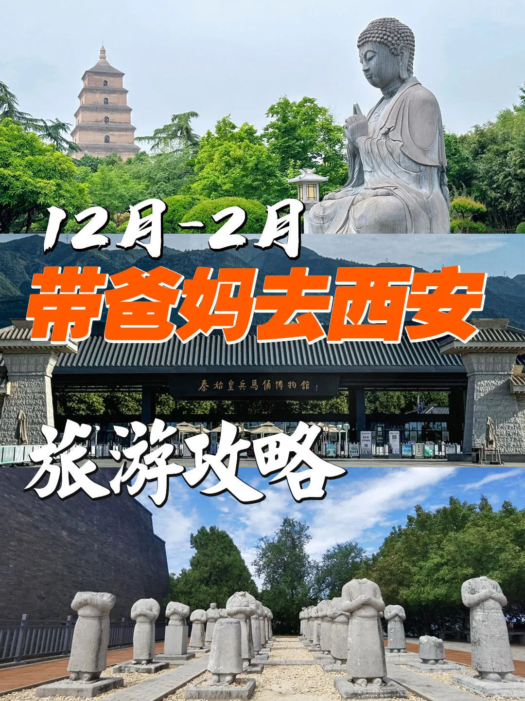 12月🔥带爸妈去西安...建议看完🔥