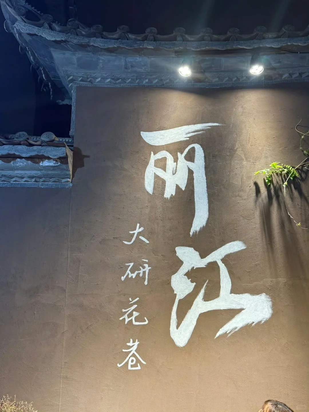 云南跟团已回，全是真实体验，给想去的避坑