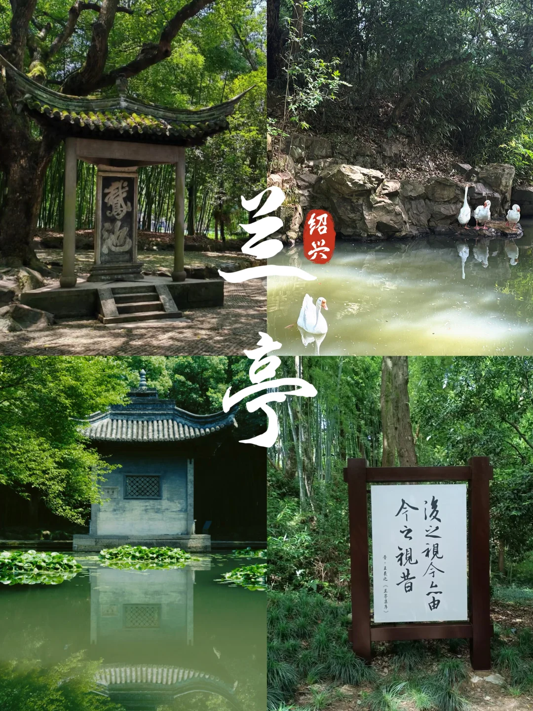 来绍兴一定要去兰亭❗️