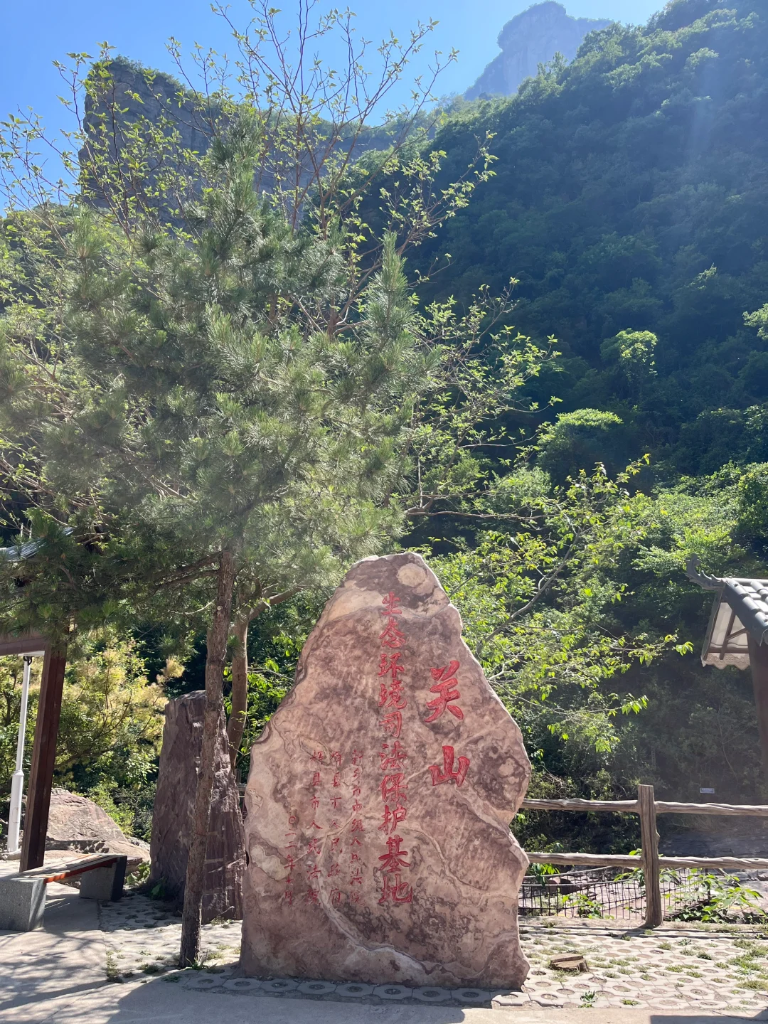 包了个山⛰️进山吸下氧