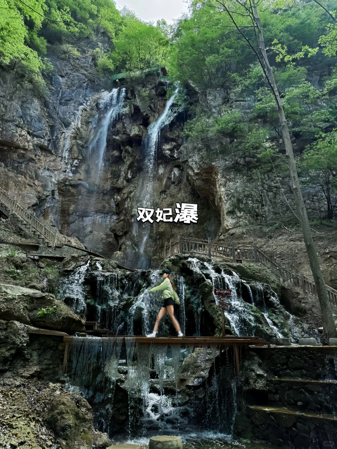 洛阳王府竹海一日游｜保姆级懒人游玩攻略