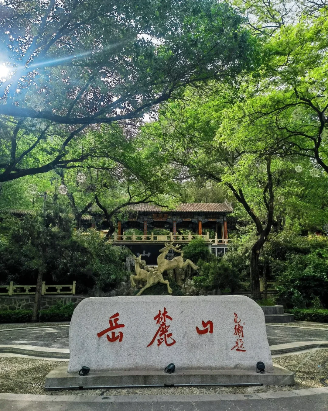 🌟【长沙旅游全攻略】🌟