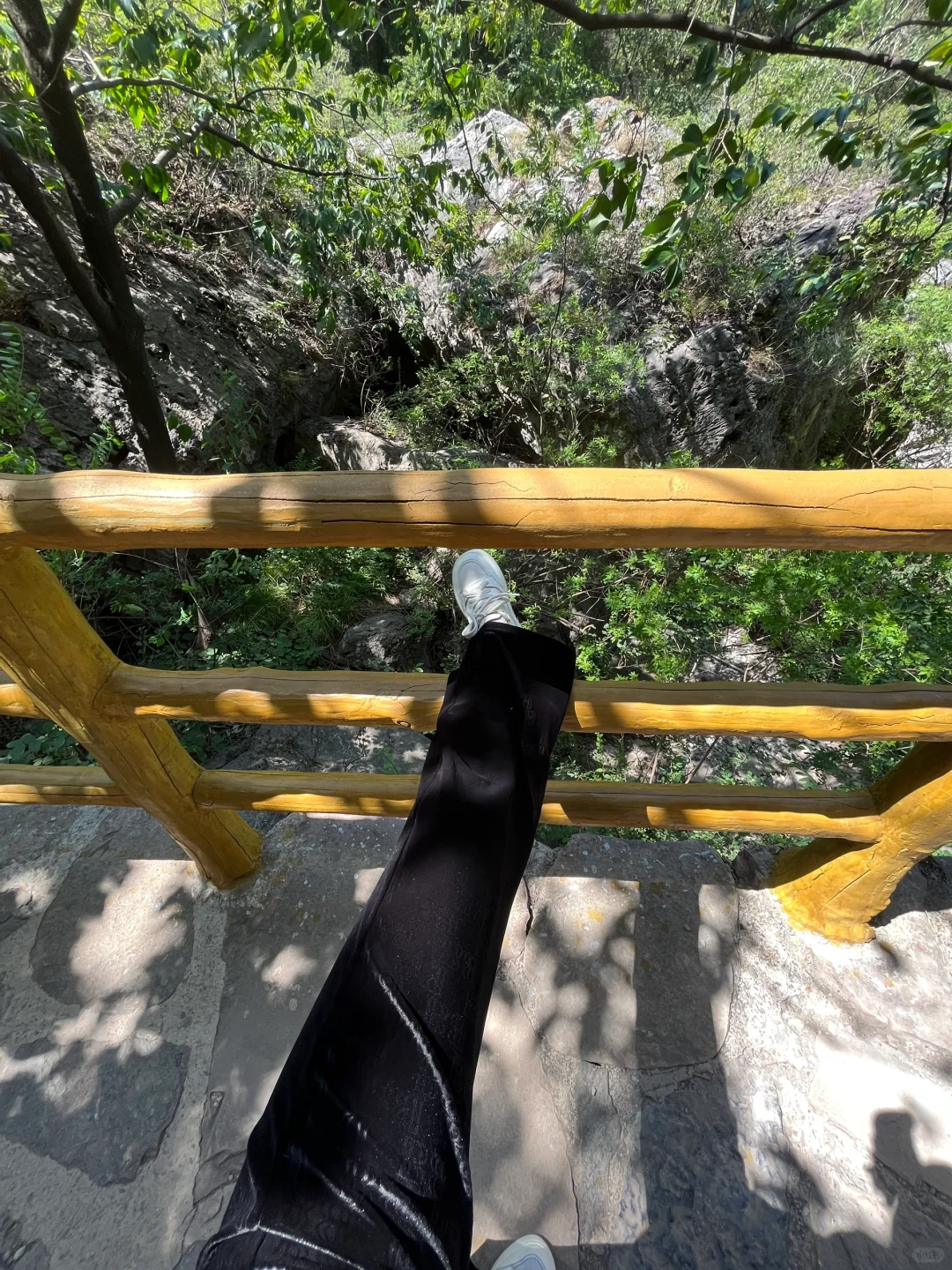 包了个山⛰️进山吸下氧