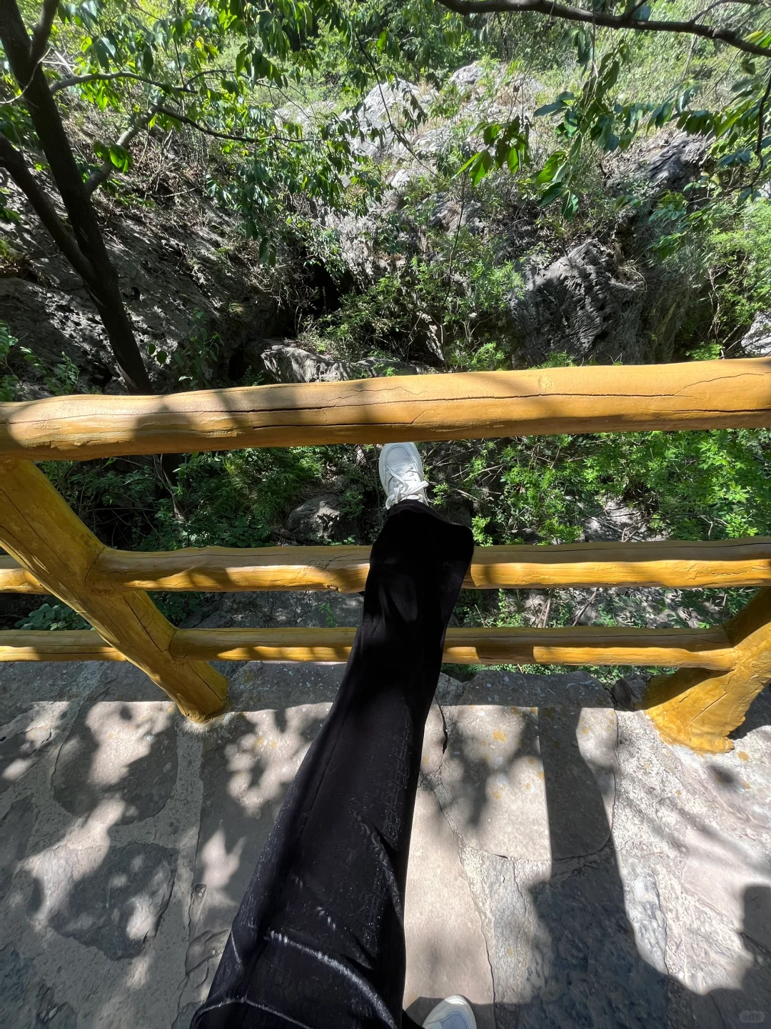 包了个山⛰️进山吸下氧
