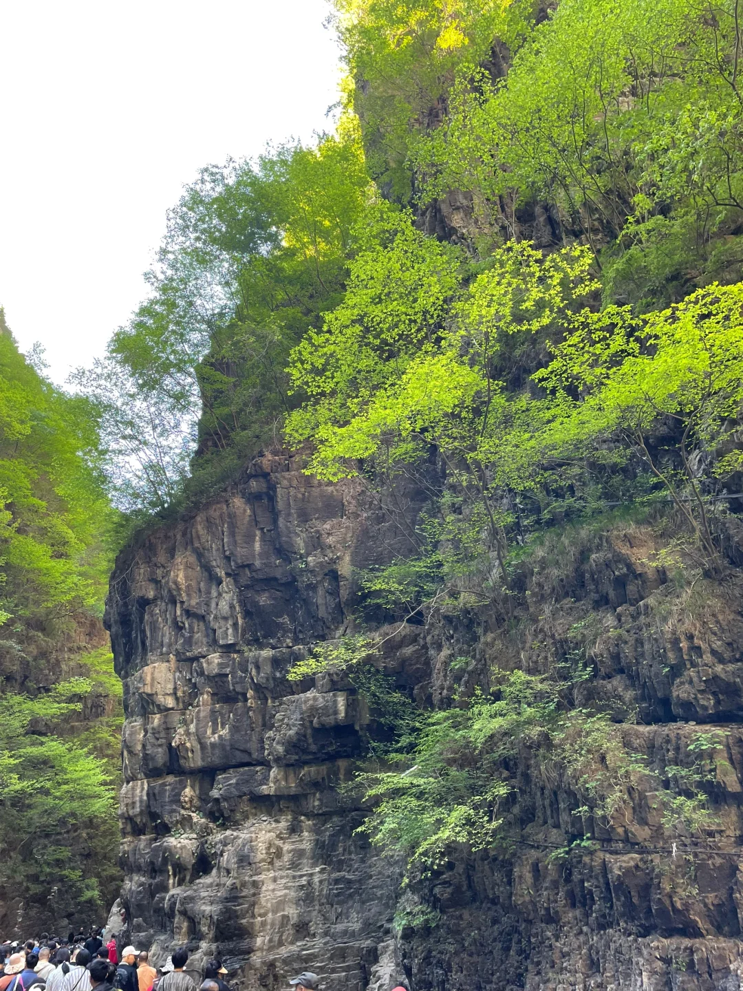 🌿【河北野三坡百里峡】人从众𠈌也值得！
