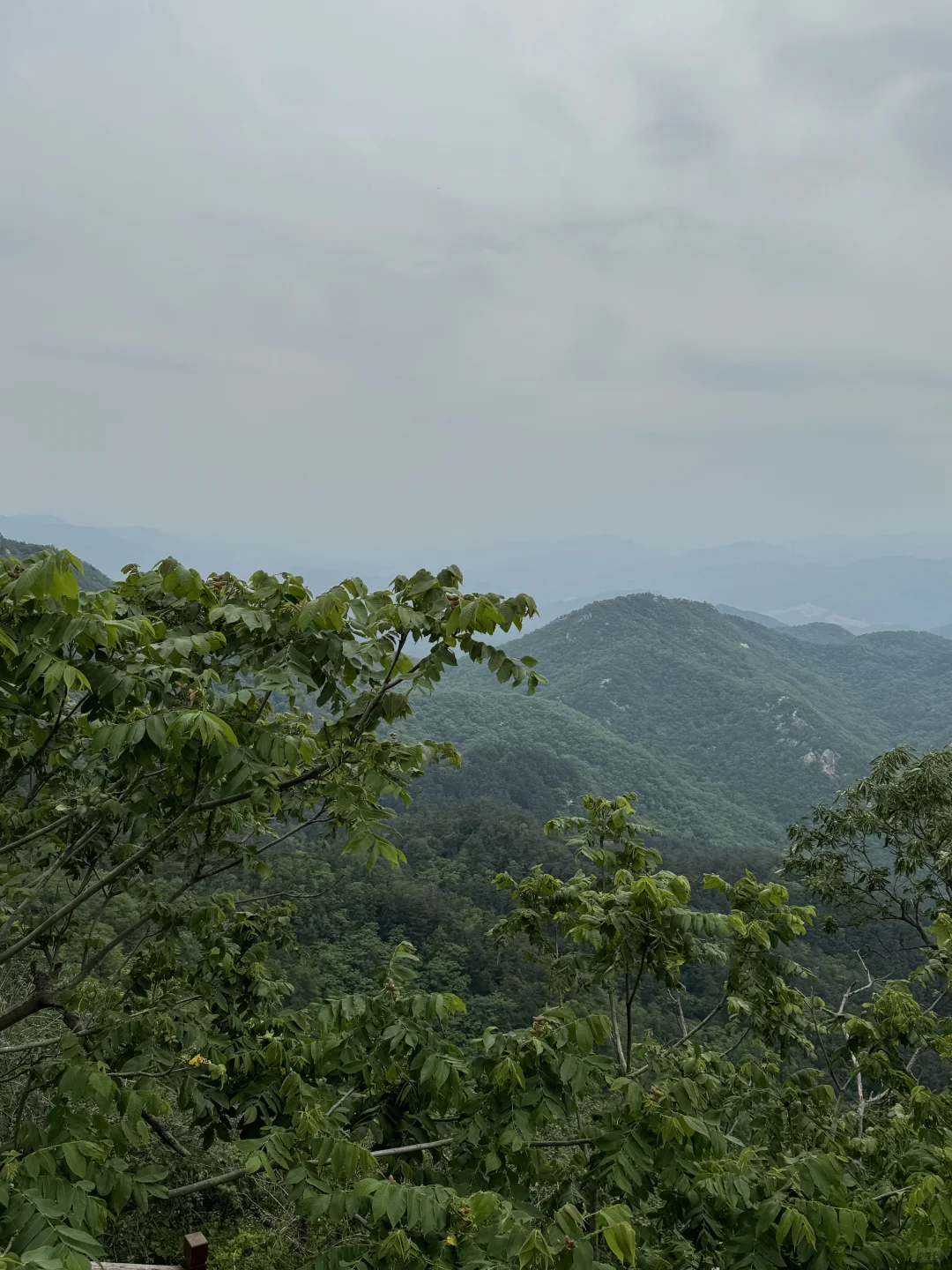 进山吸下氧😎😎