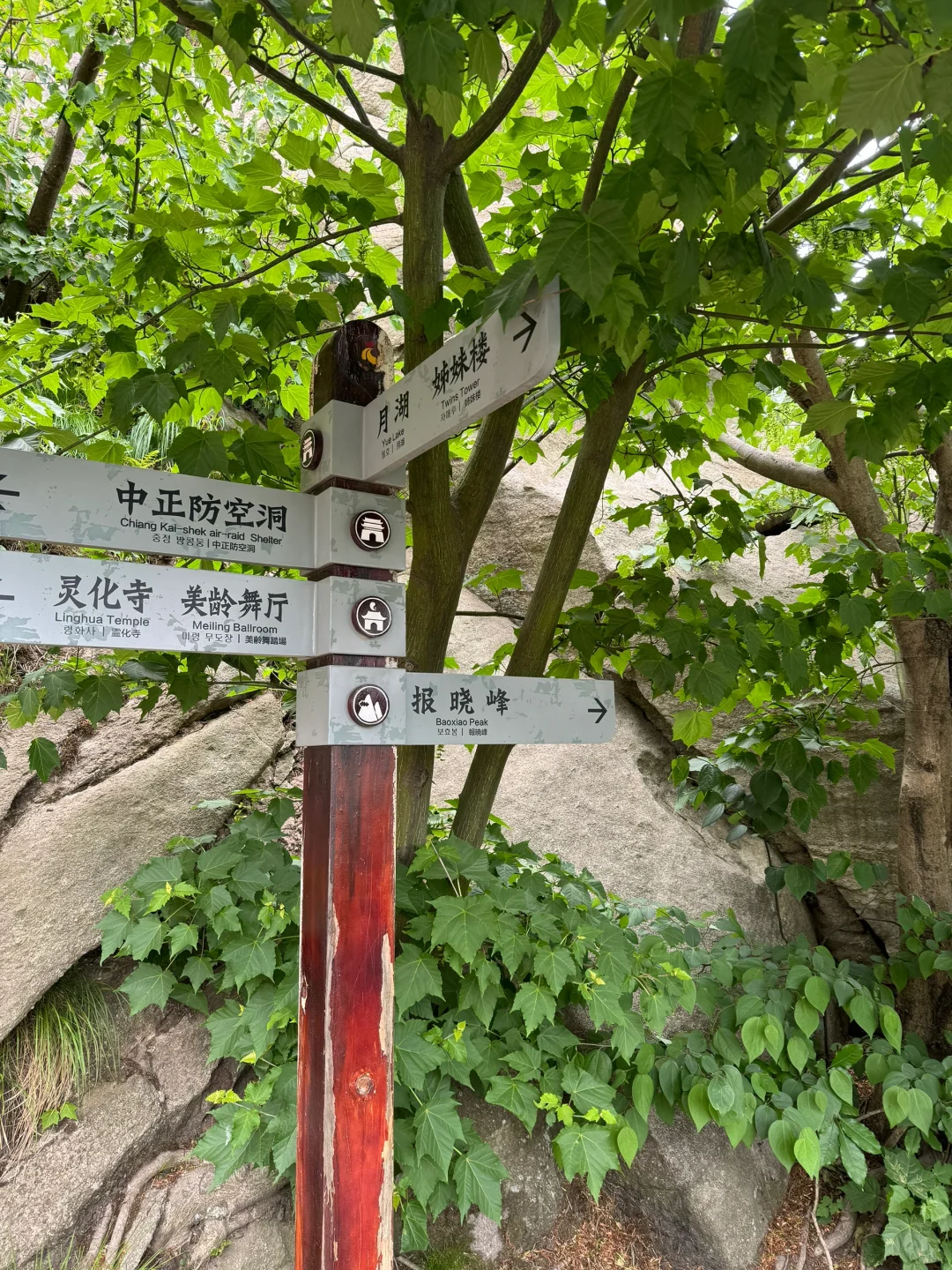 进山吸下氧😎😎