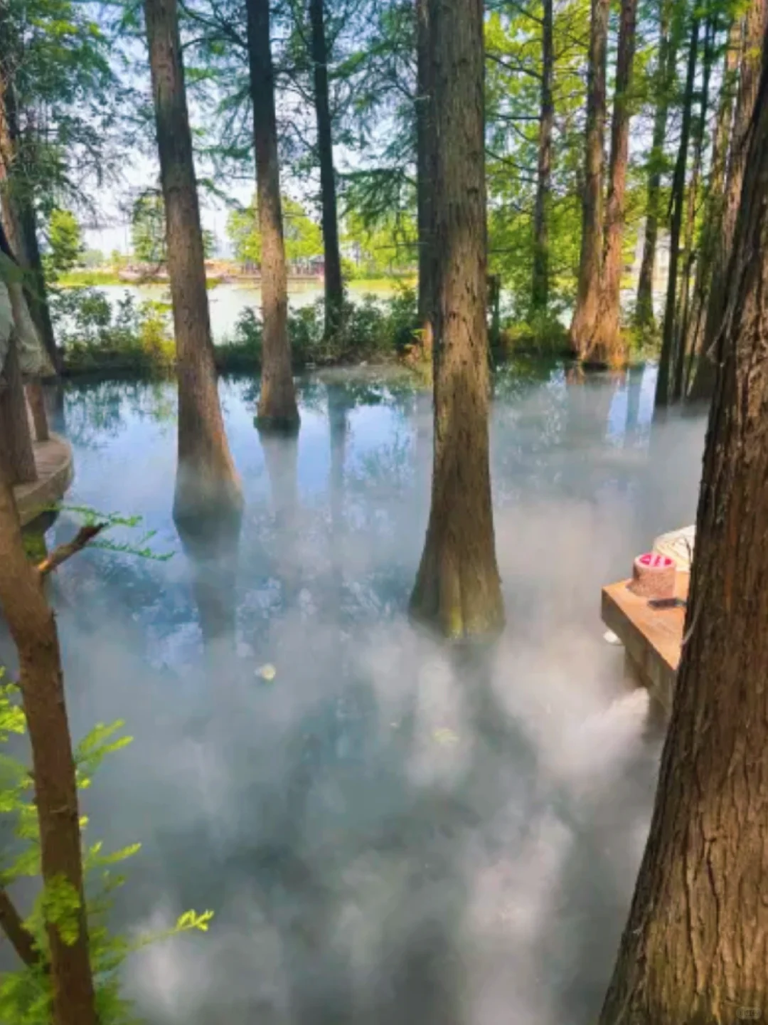 武汉东湖落雁仙境全攻略📸迷雾竹筏美出圈