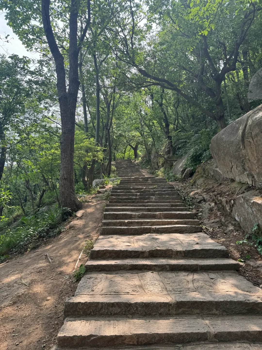 进山吸下氧😎😎
