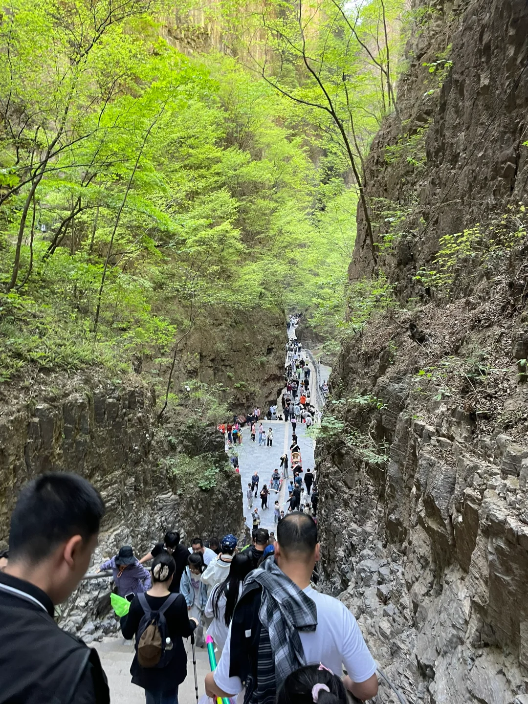 🌿【河北野三坡百里峡】人从众𠈌也值得！