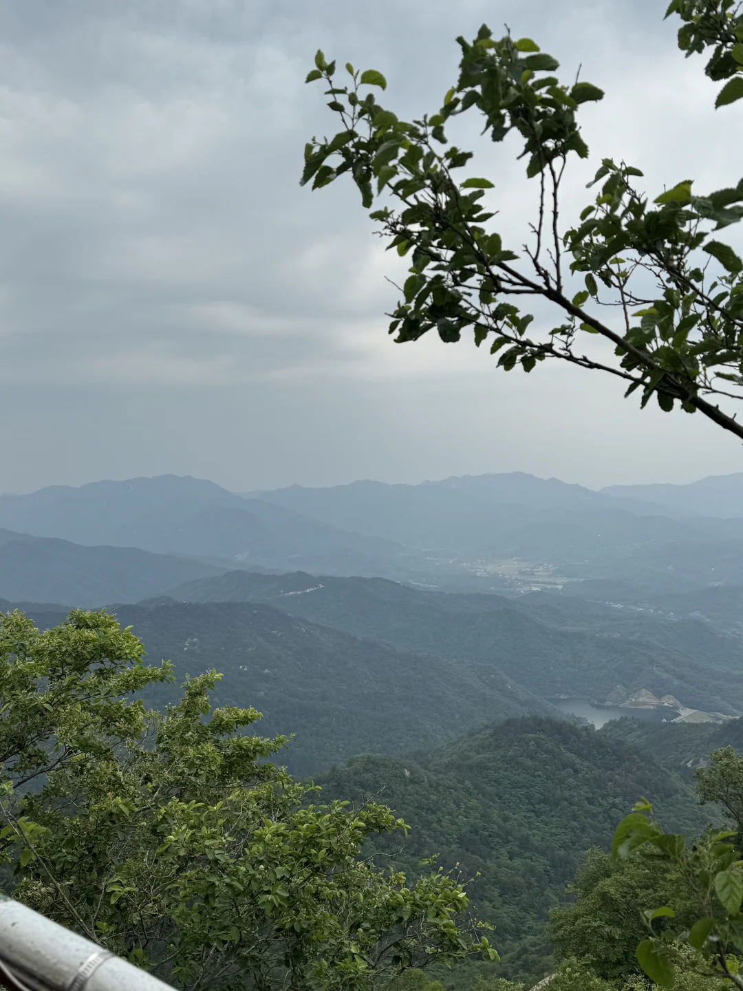 进山吸下氧😎😎