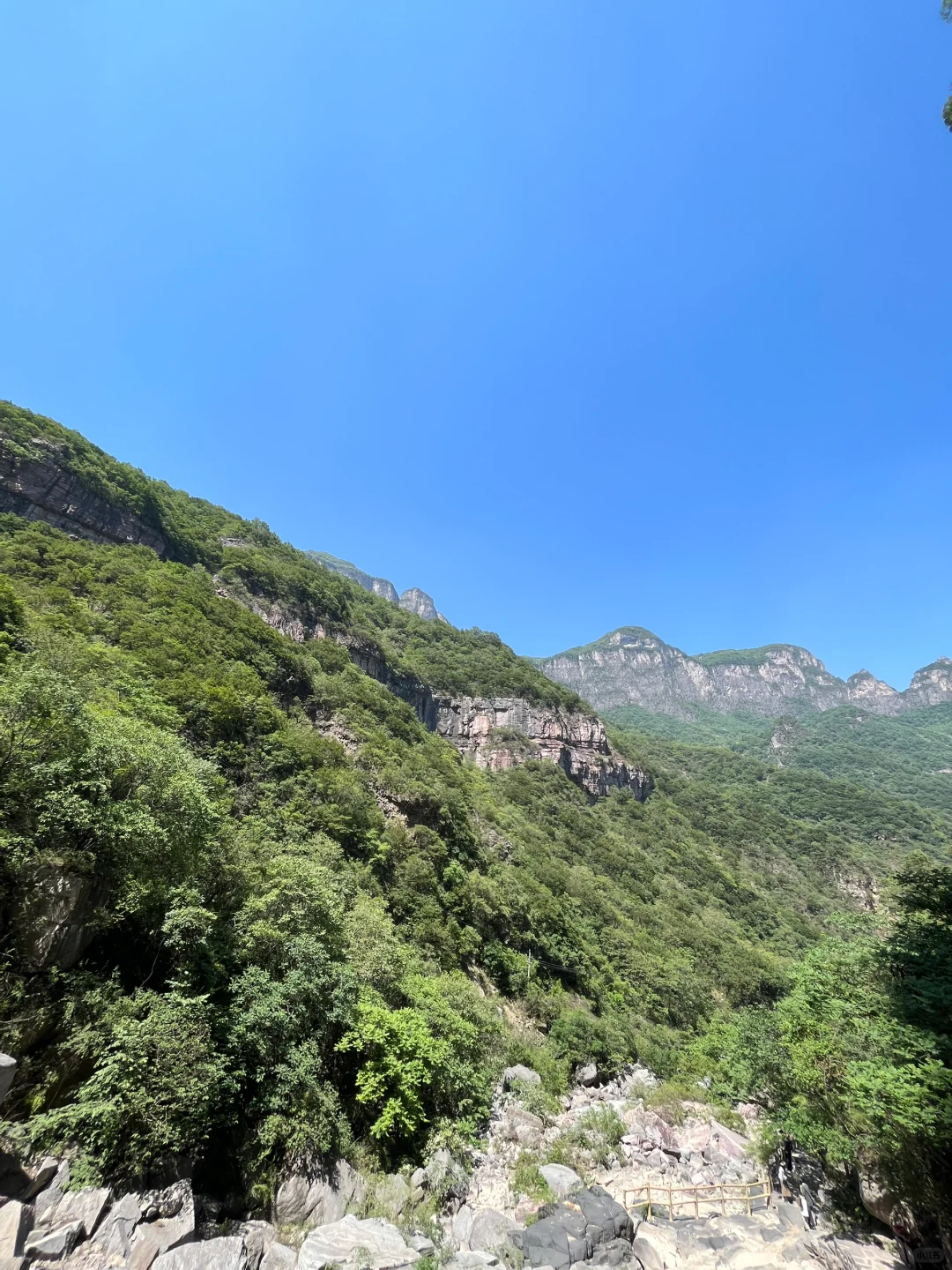 包了个山⛰️进山吸下氧