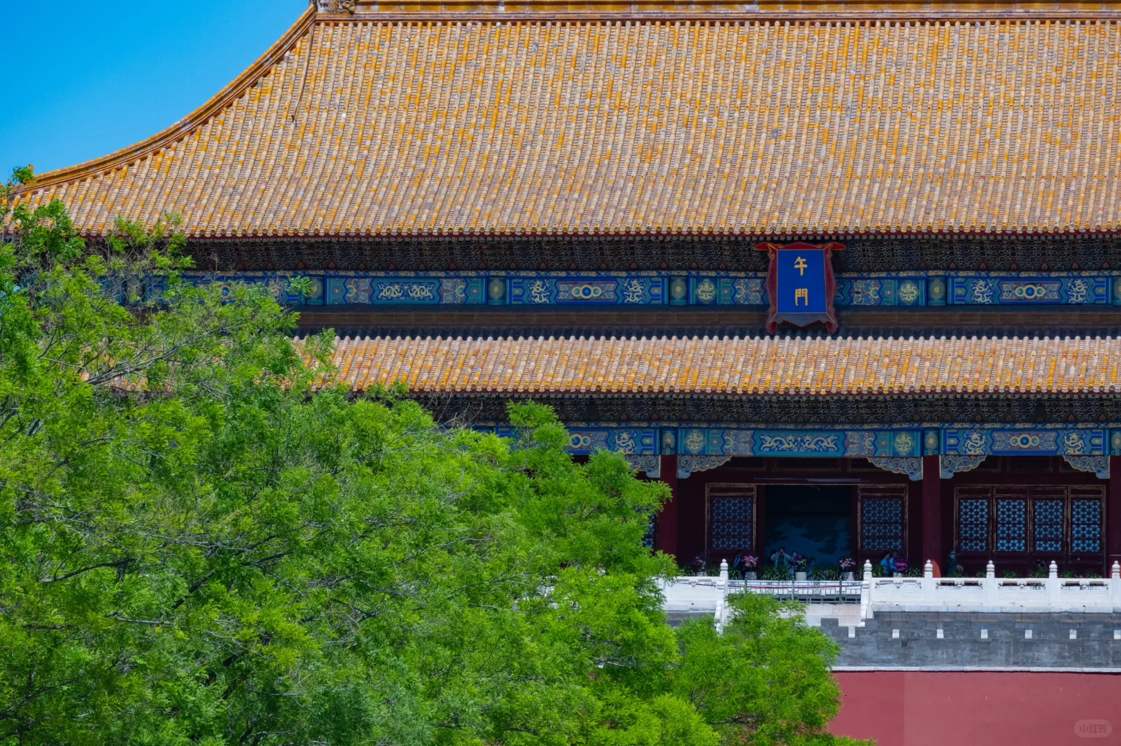 五一游