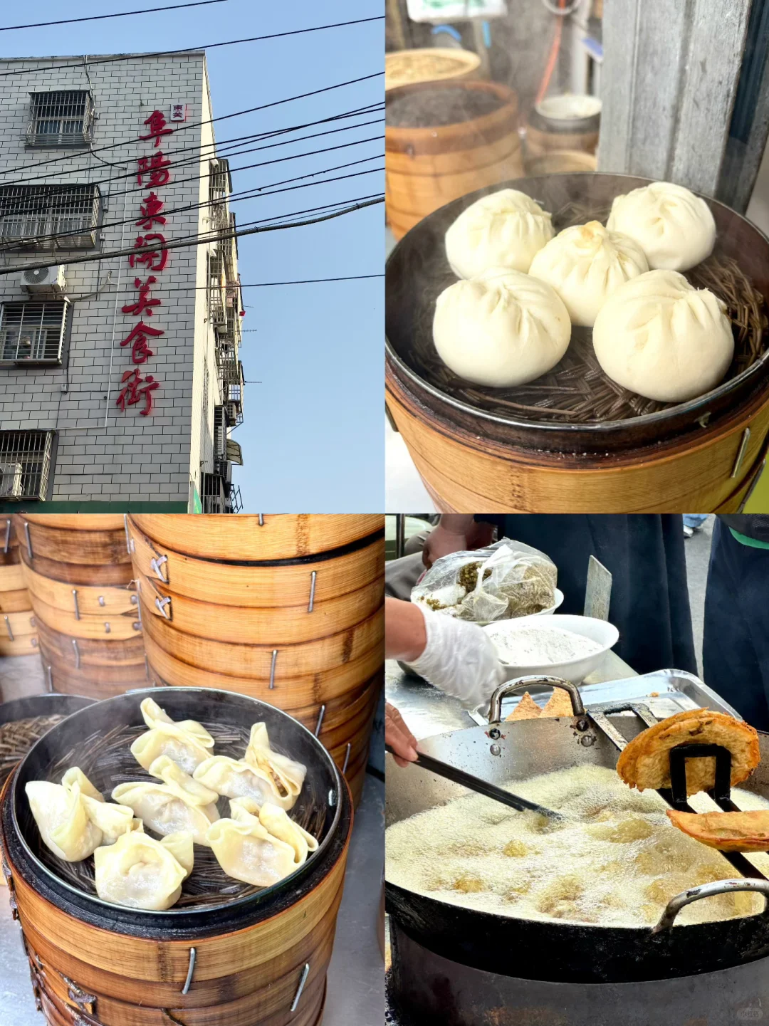 周末48h逃离武汉⇨阜阳