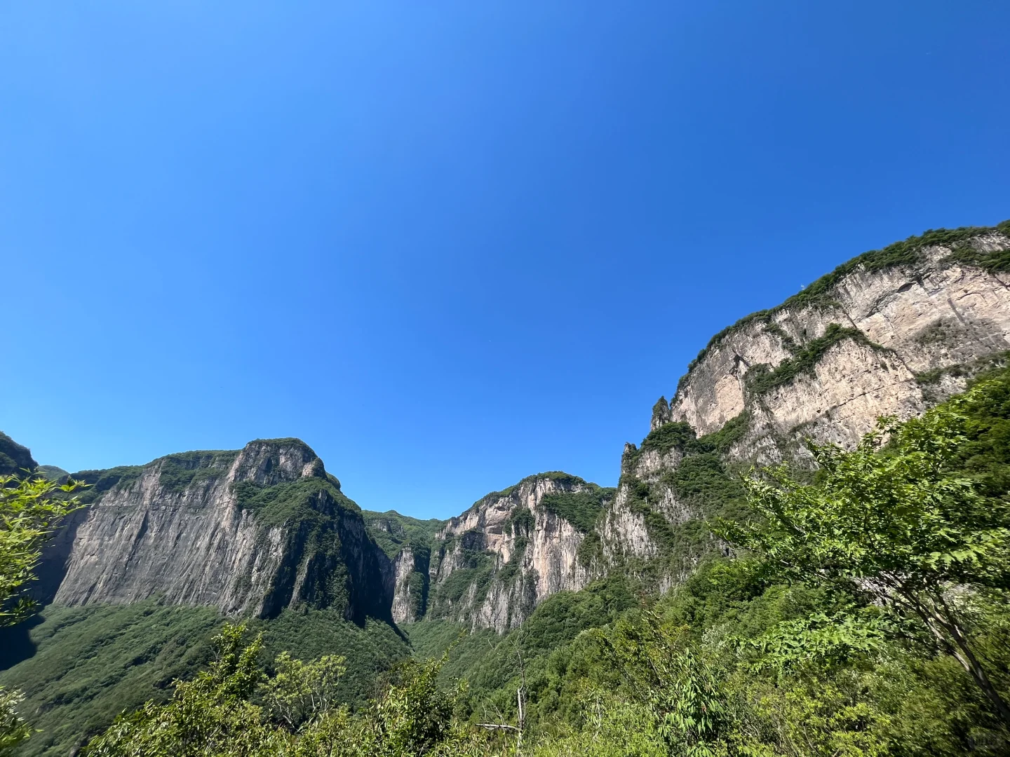 包了个山⛰️进山吸下氧