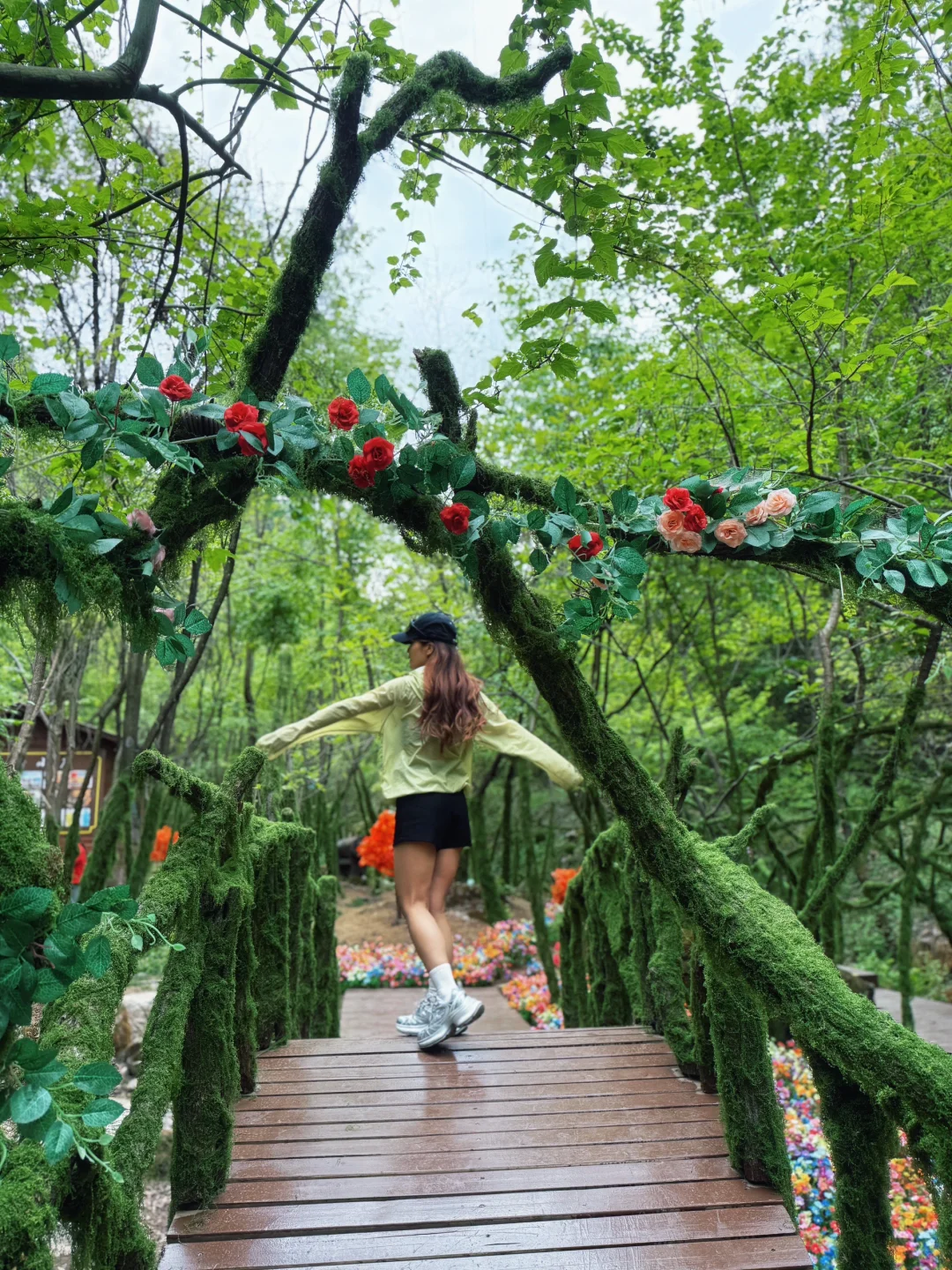 洛阳王府竹海一日游｜保姆级懒人游玩攻略